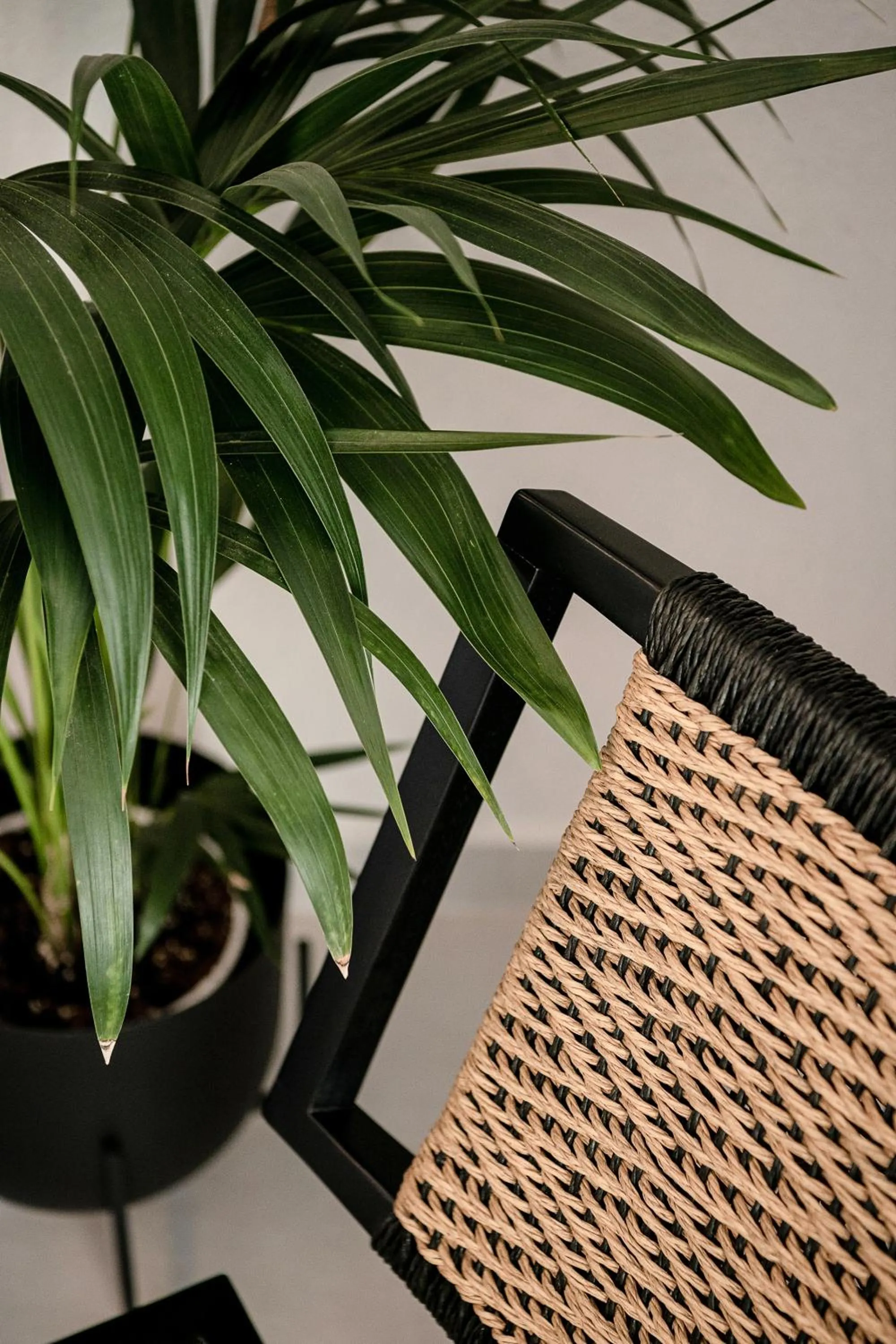 Decorative detail in Nuovo Luxury Suites