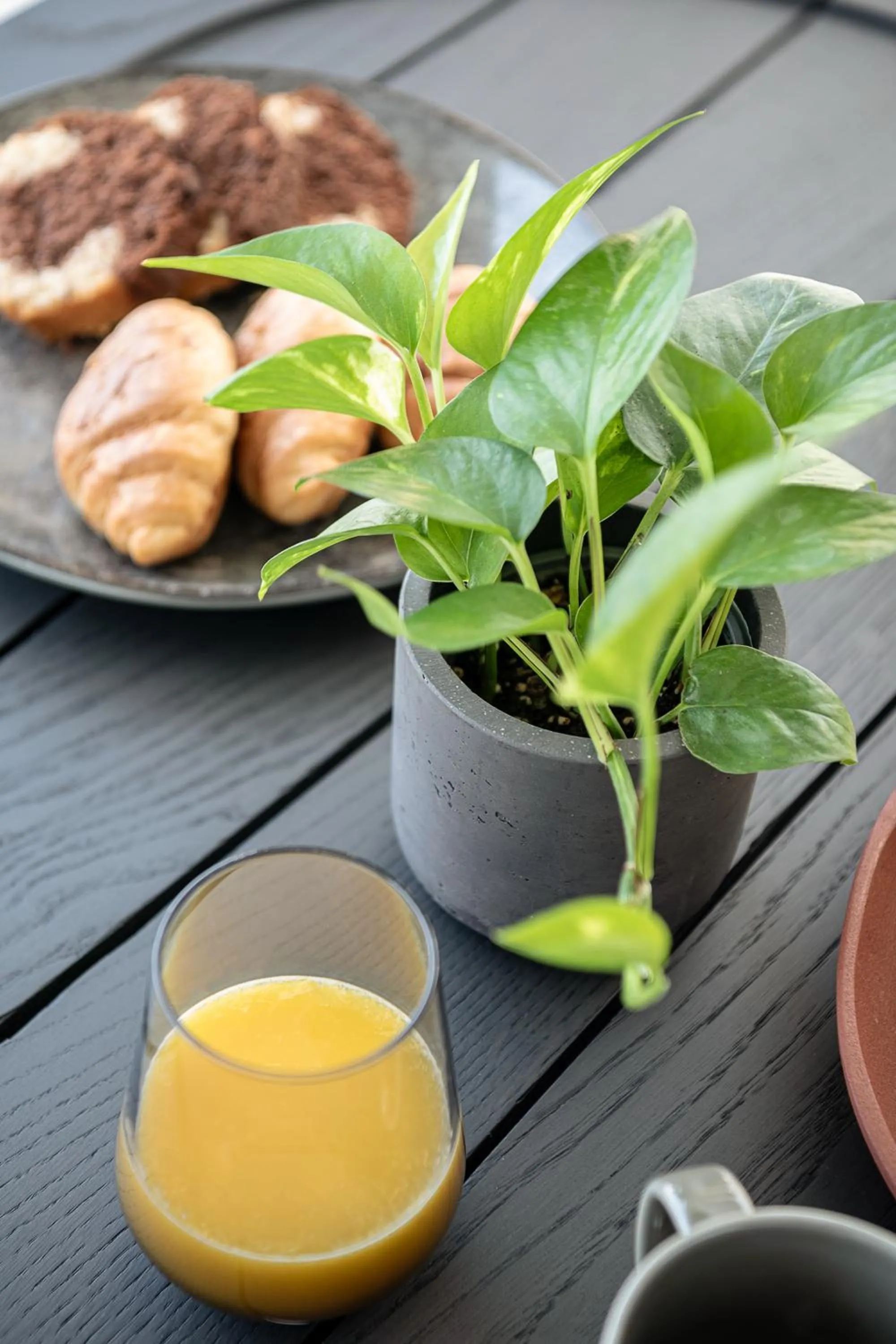 Breakfast in Nuovo Luxury Suites