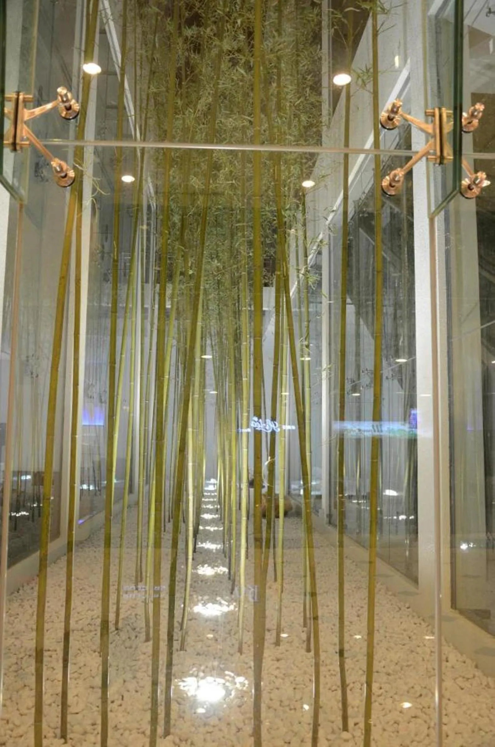 Garden in Grand Alora Hotel