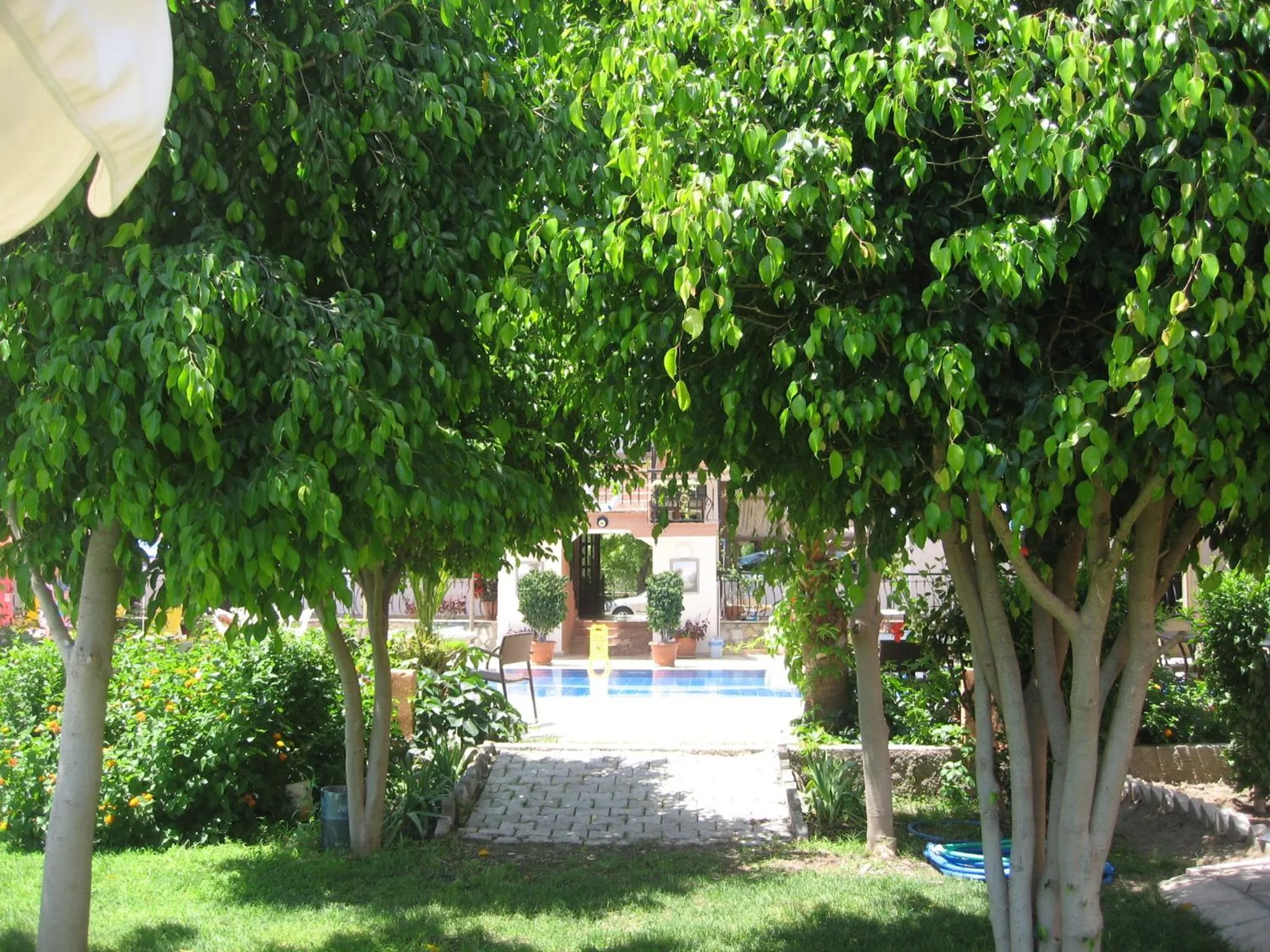 Garden in MG Moms Hotel