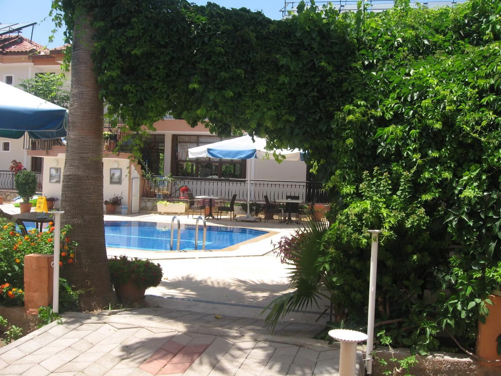 Garden in MG Moms Hotel