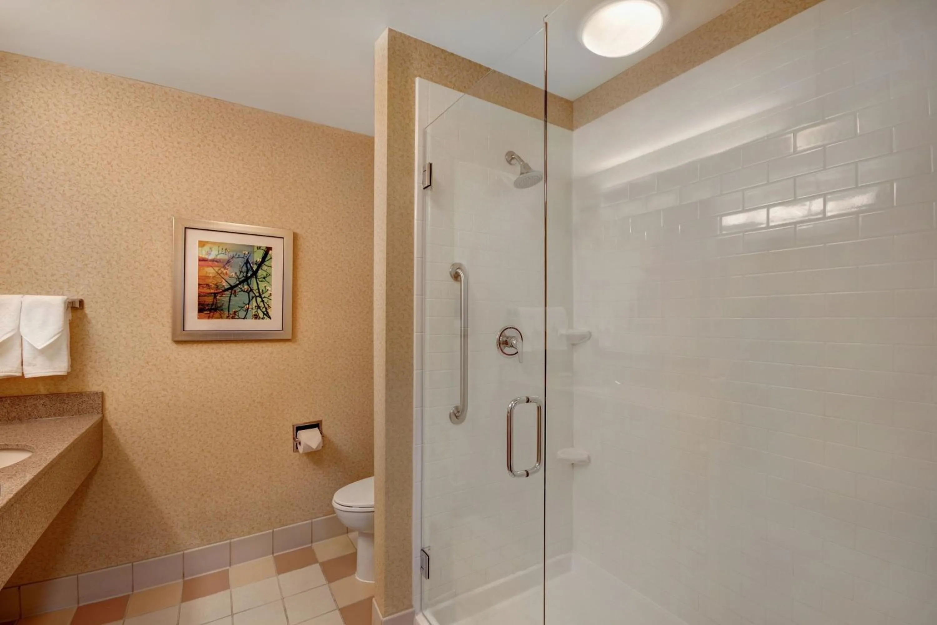 Bathroom in Fairfield Inn & Suites by Marriott Detroit Metro Airport Romulus