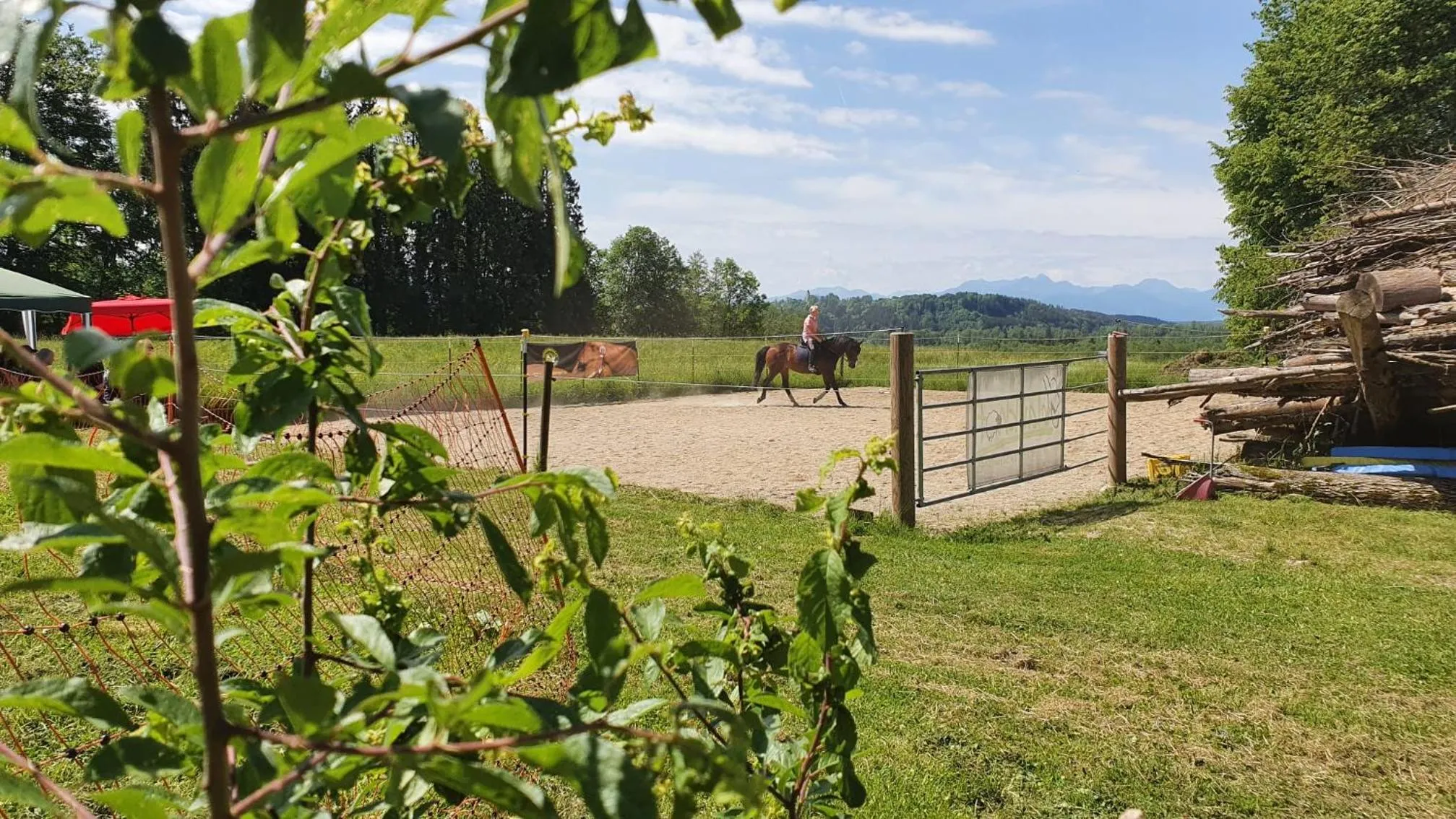 Garden view in Der Blankhof "Back to Roots"