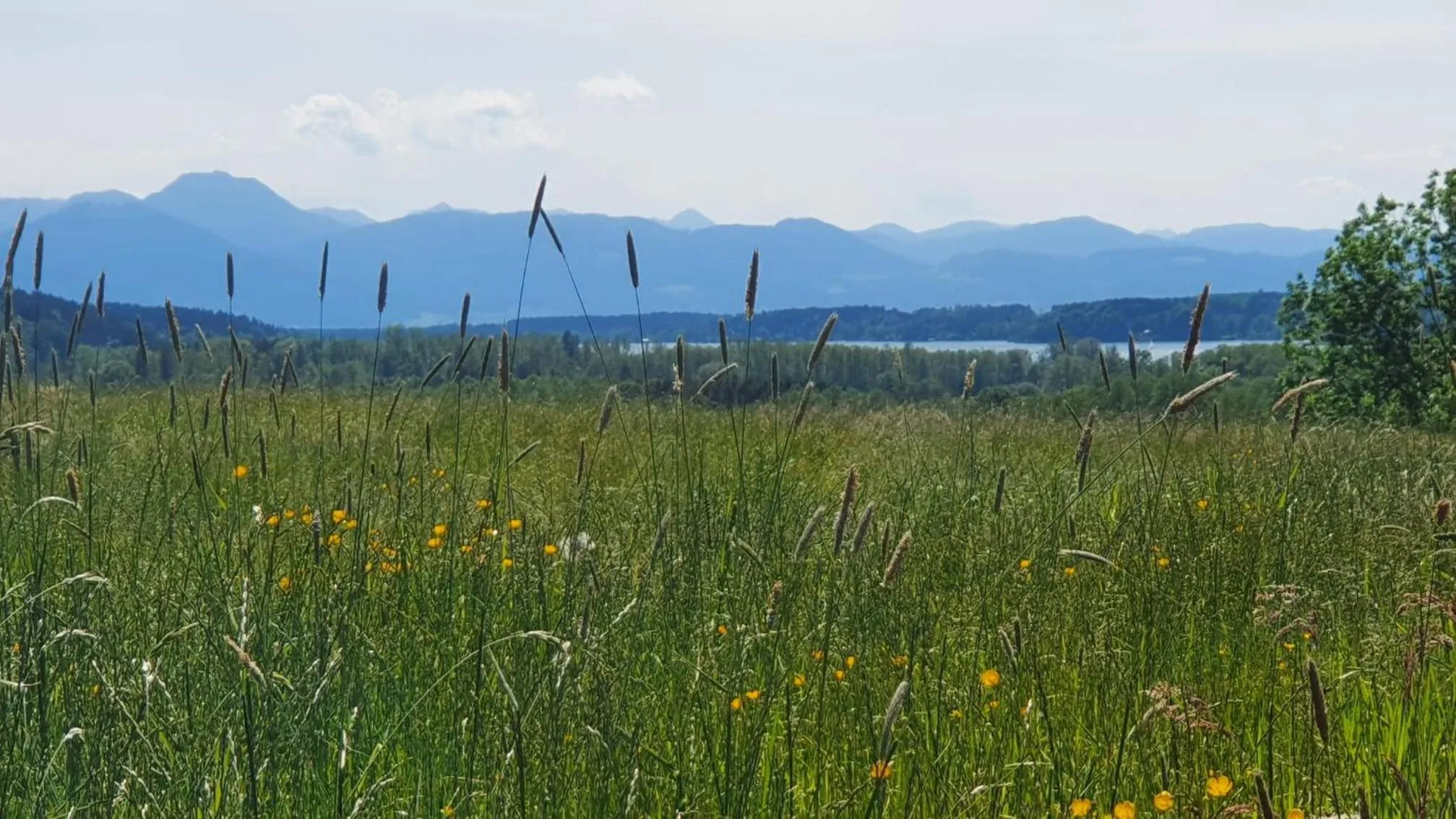 Natural landscape in Der Blankhof "Back to Roots"