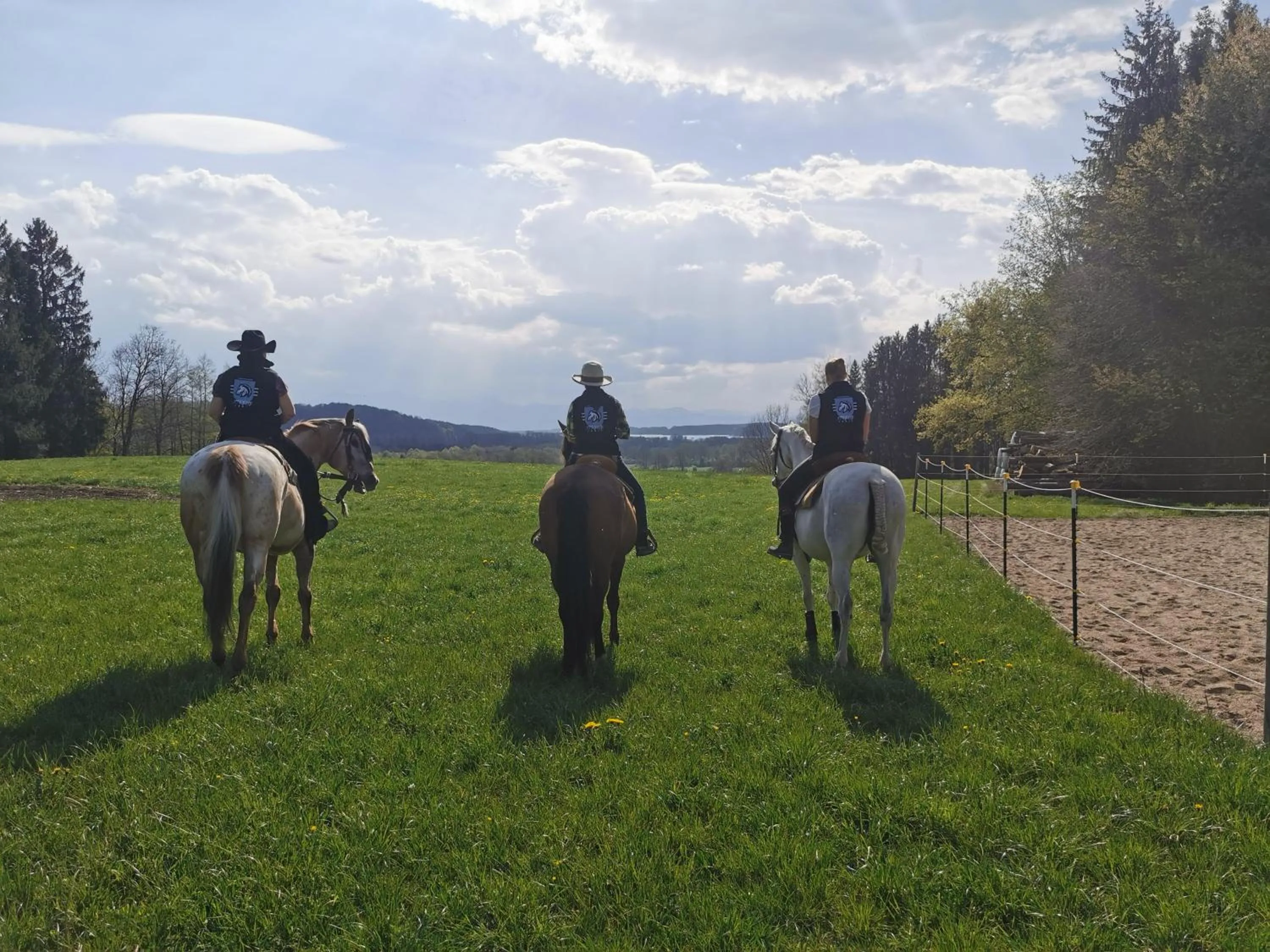 Horse-riding in Der Blankhof "Back to Roots"