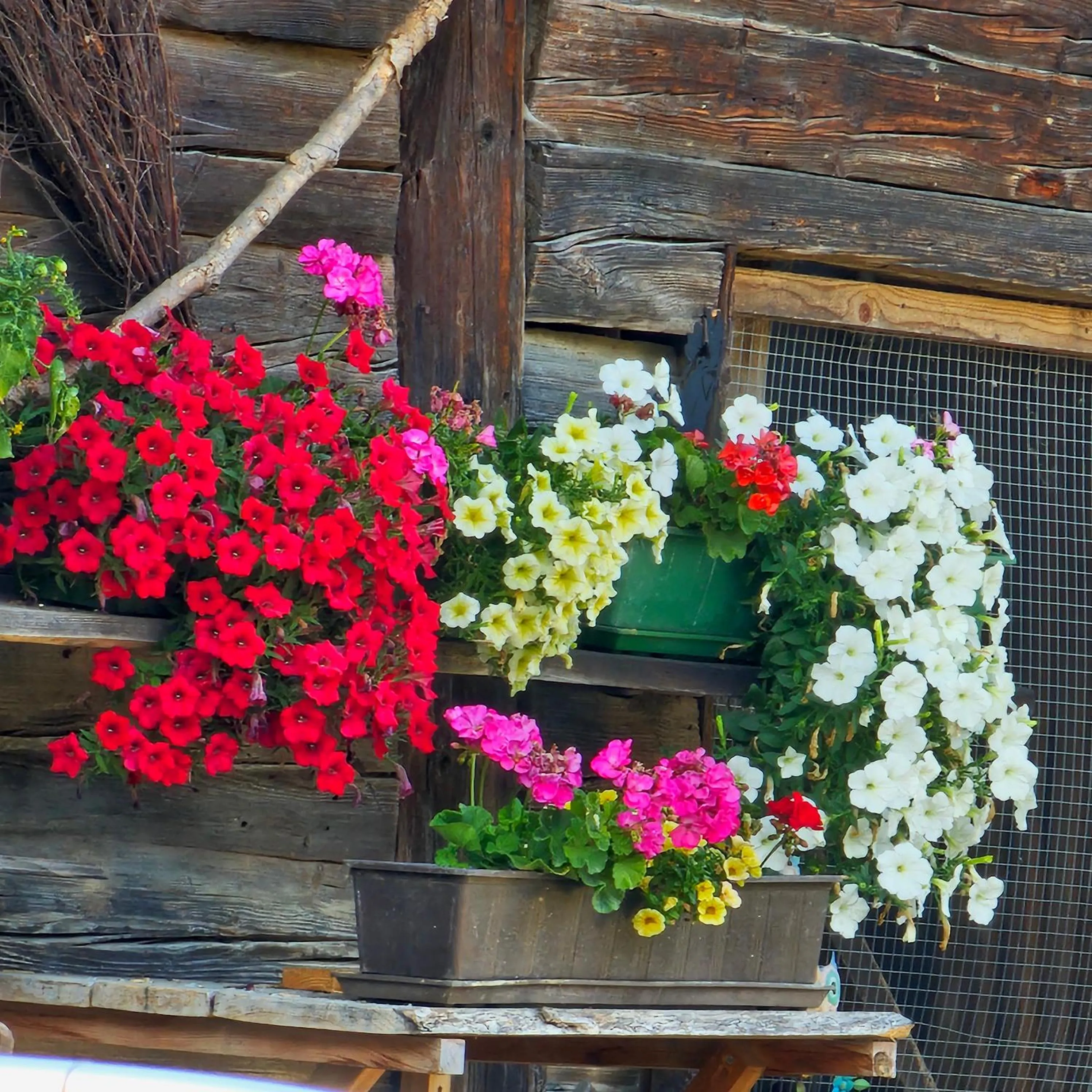 Property building in Der Blankhof "Back to Roots"