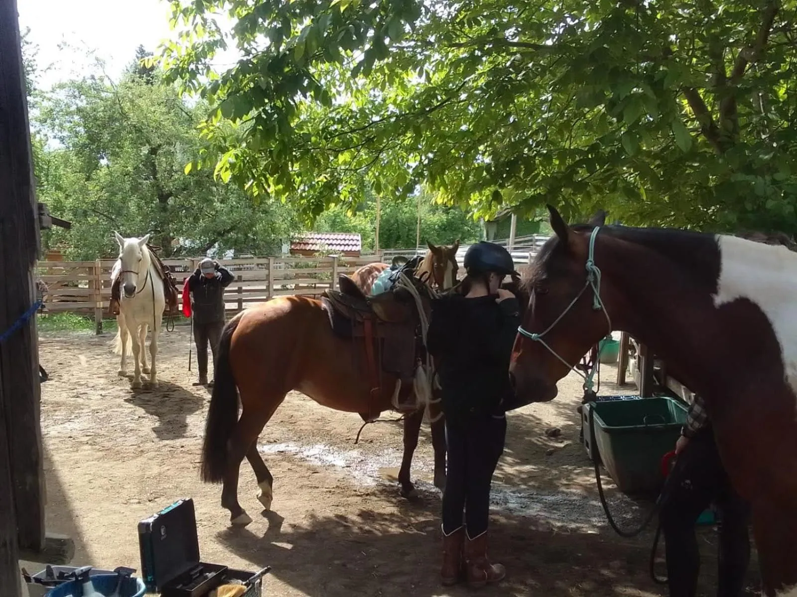 Horse-riding in Der Blankhof "Back to Roots"
