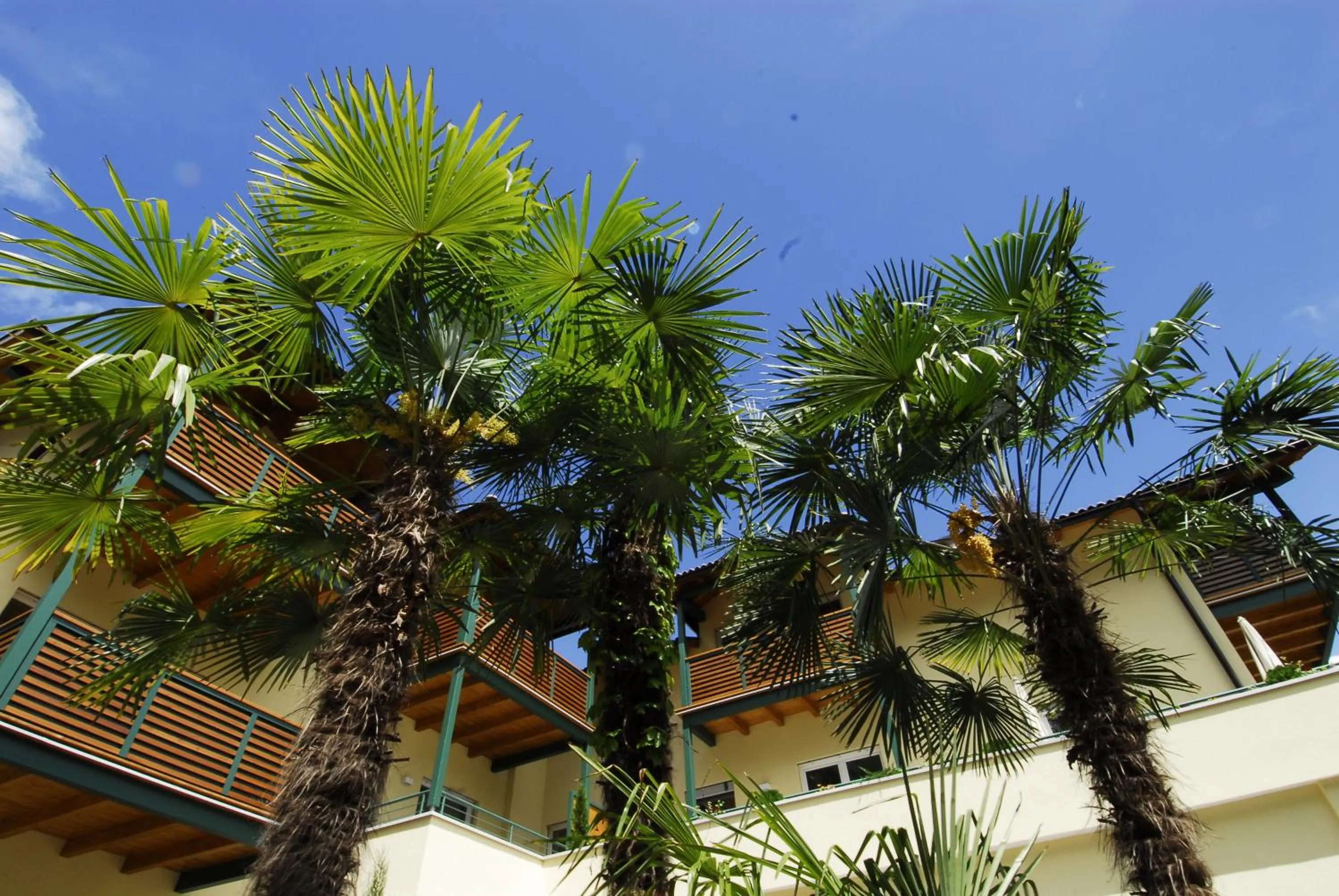 Facade/entrance in Apparthotel Gartenresidence Nalserhof