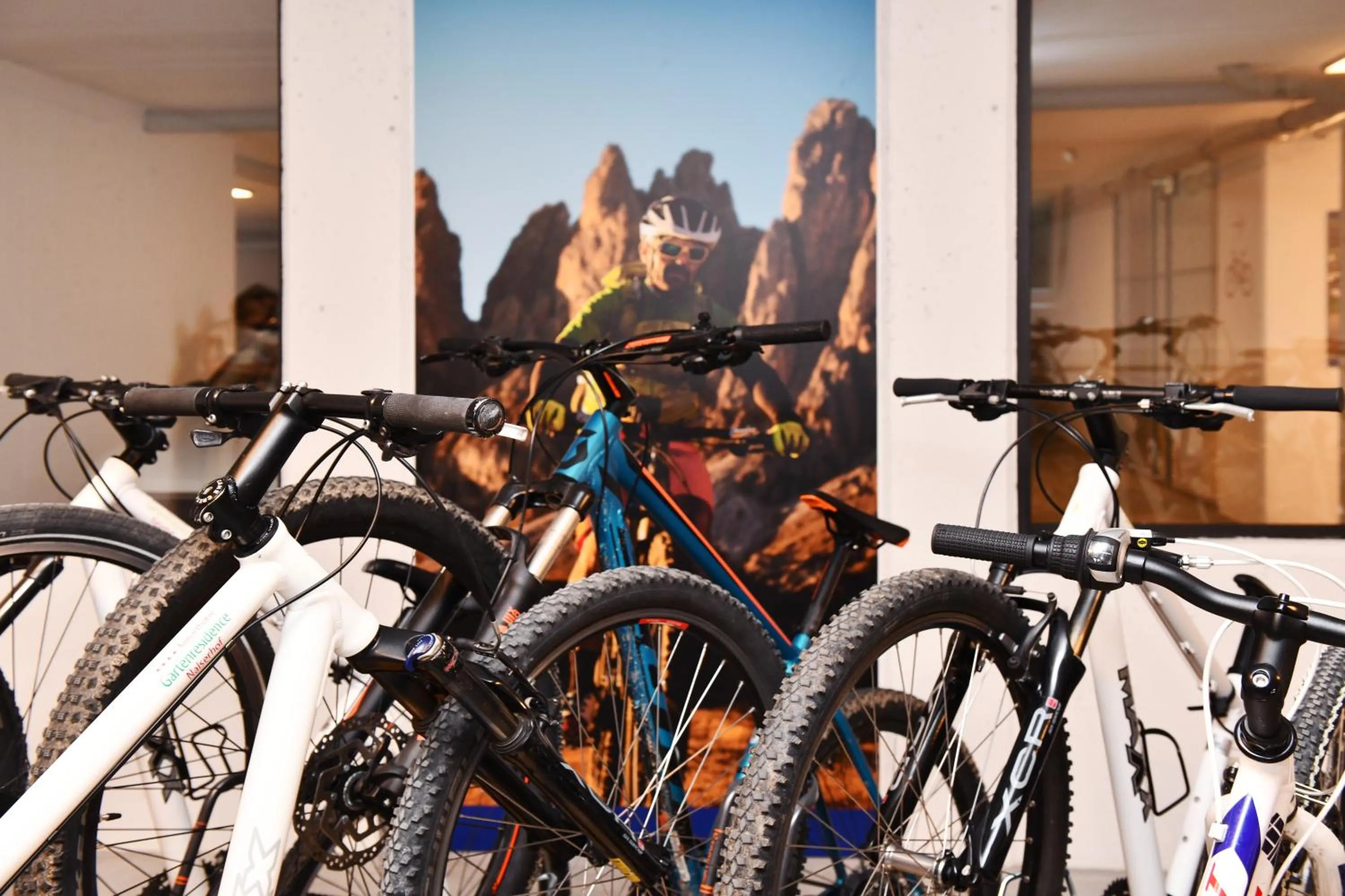 Cycling in Apparthotel Gartenresidence Nalserhof