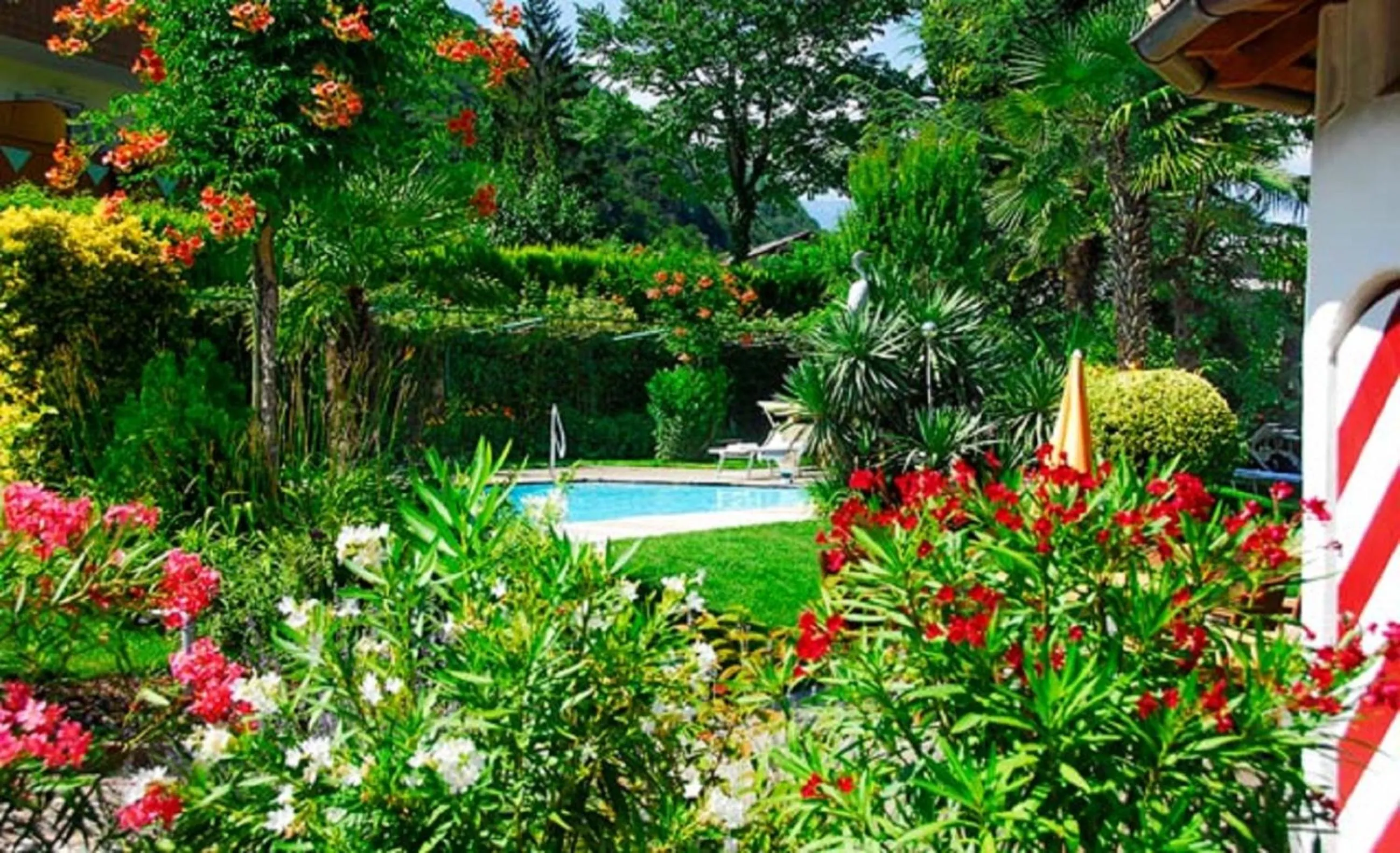 Garden in Apparthotel Gartenresidence Nalserhof