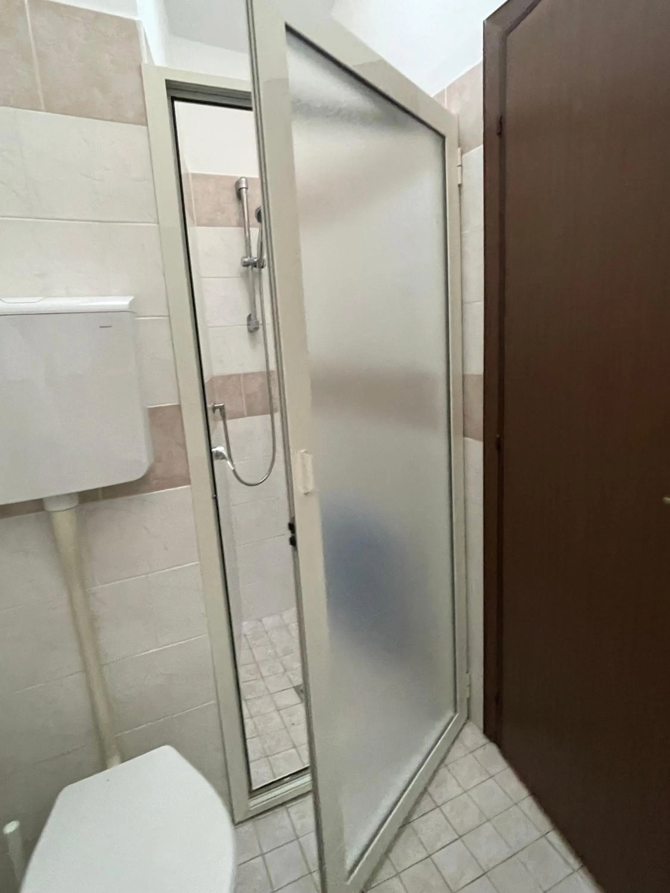 Shower in Hotel Adler