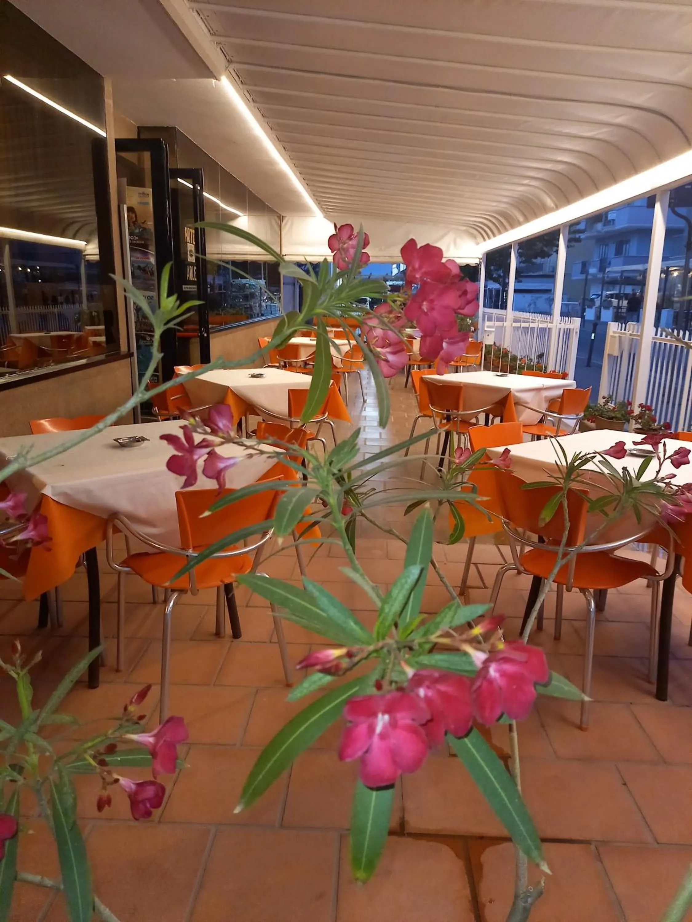 Restaurant/places to eat in Hotel Adler