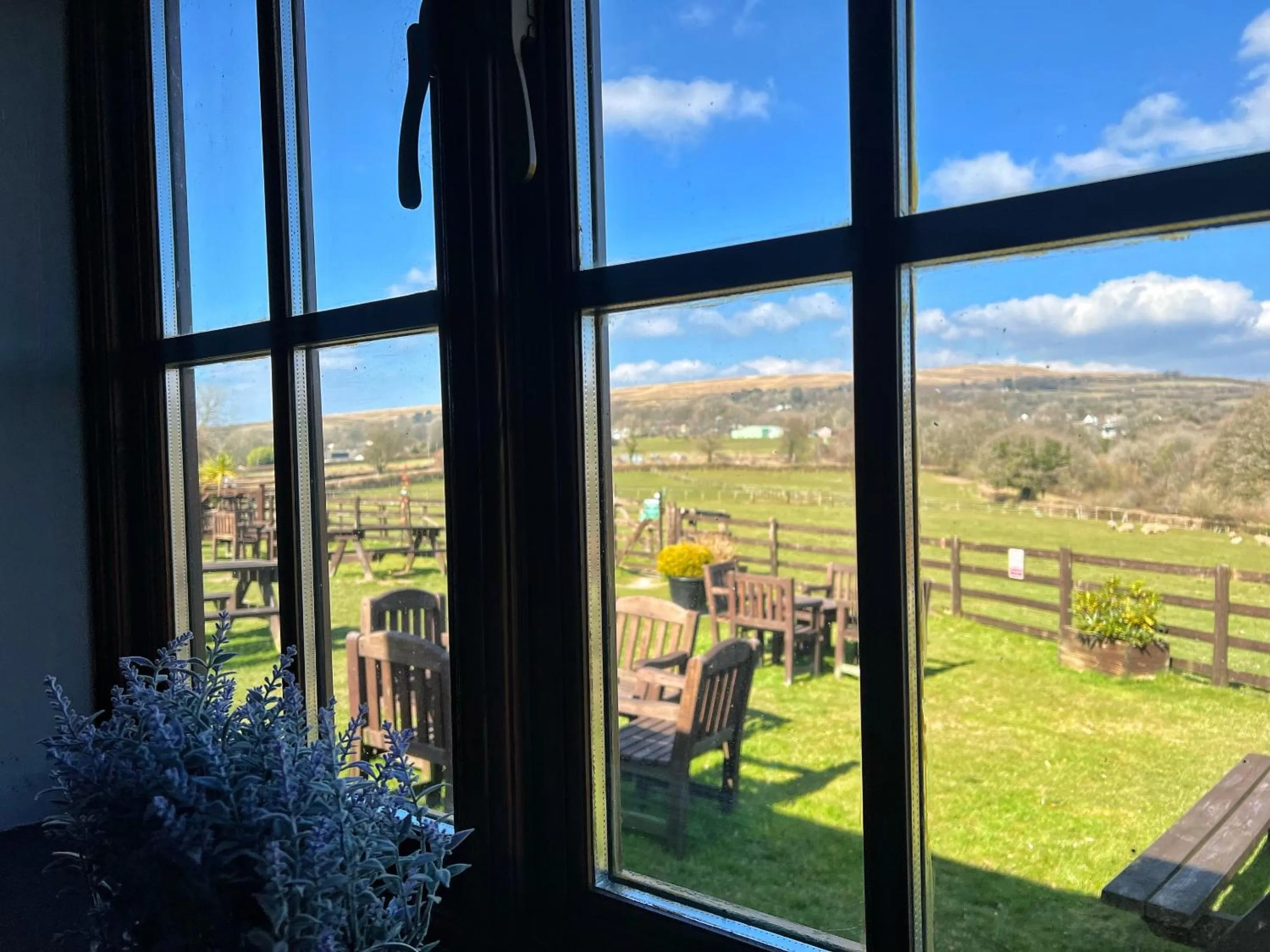 View (from property/room) in The Mary Tavy Inn