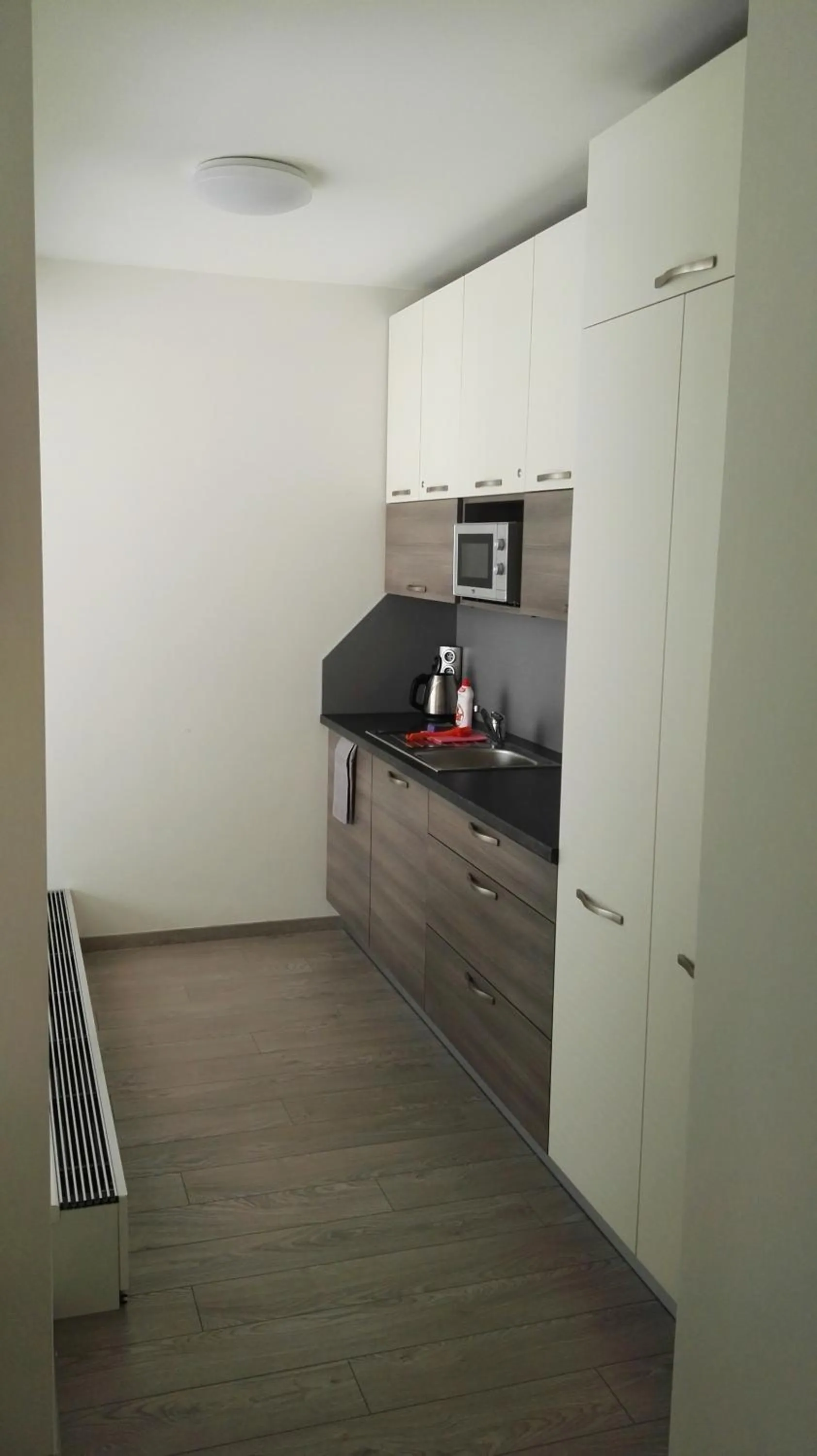 Kitchen or kitchenette in Alfa Panorama Brno