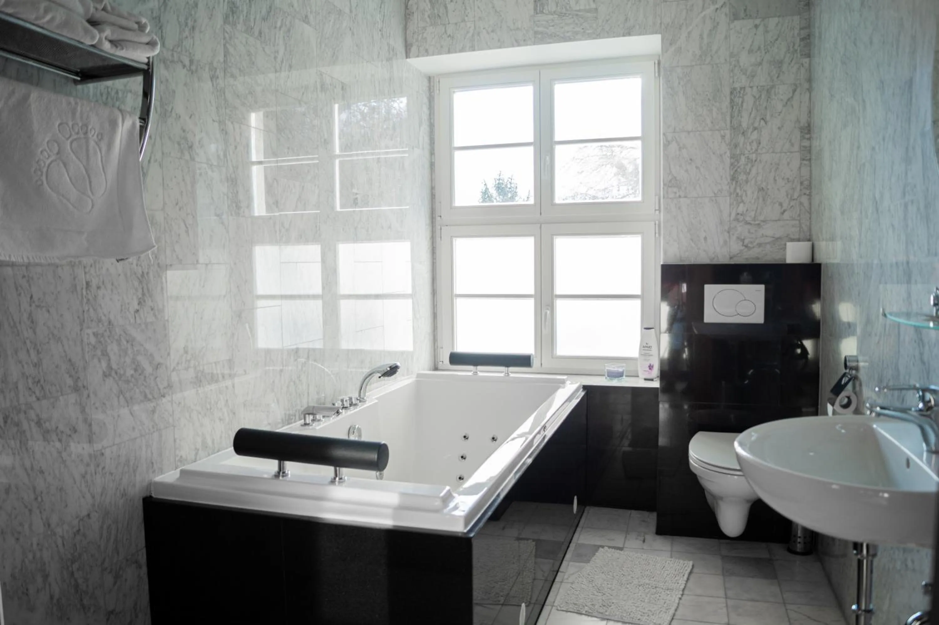 Deluxe Double Room in Pałac Bogaczów - noclegi - restauracja - przyjęcia