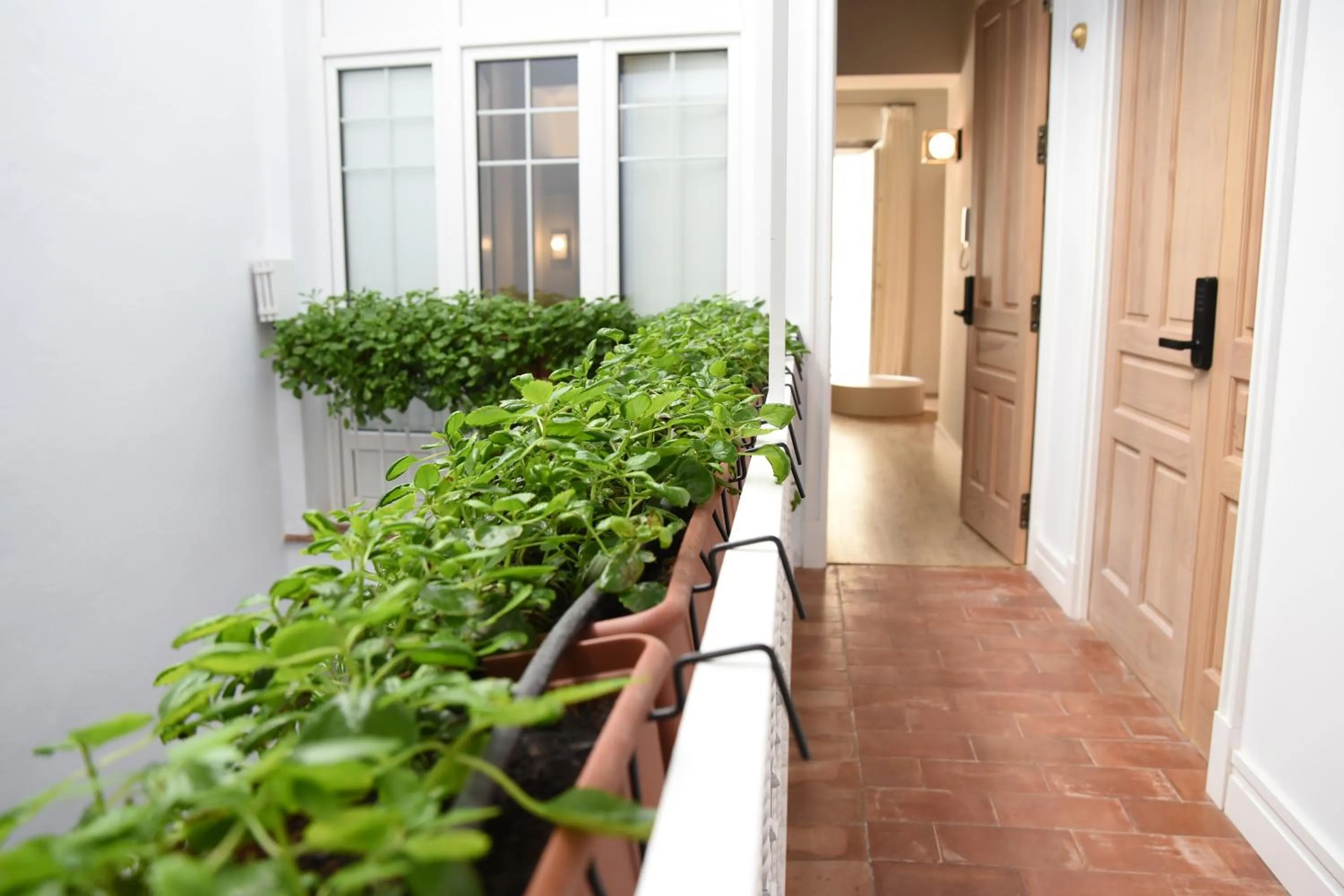 Decorative detail in Casa Bailen Sevilla