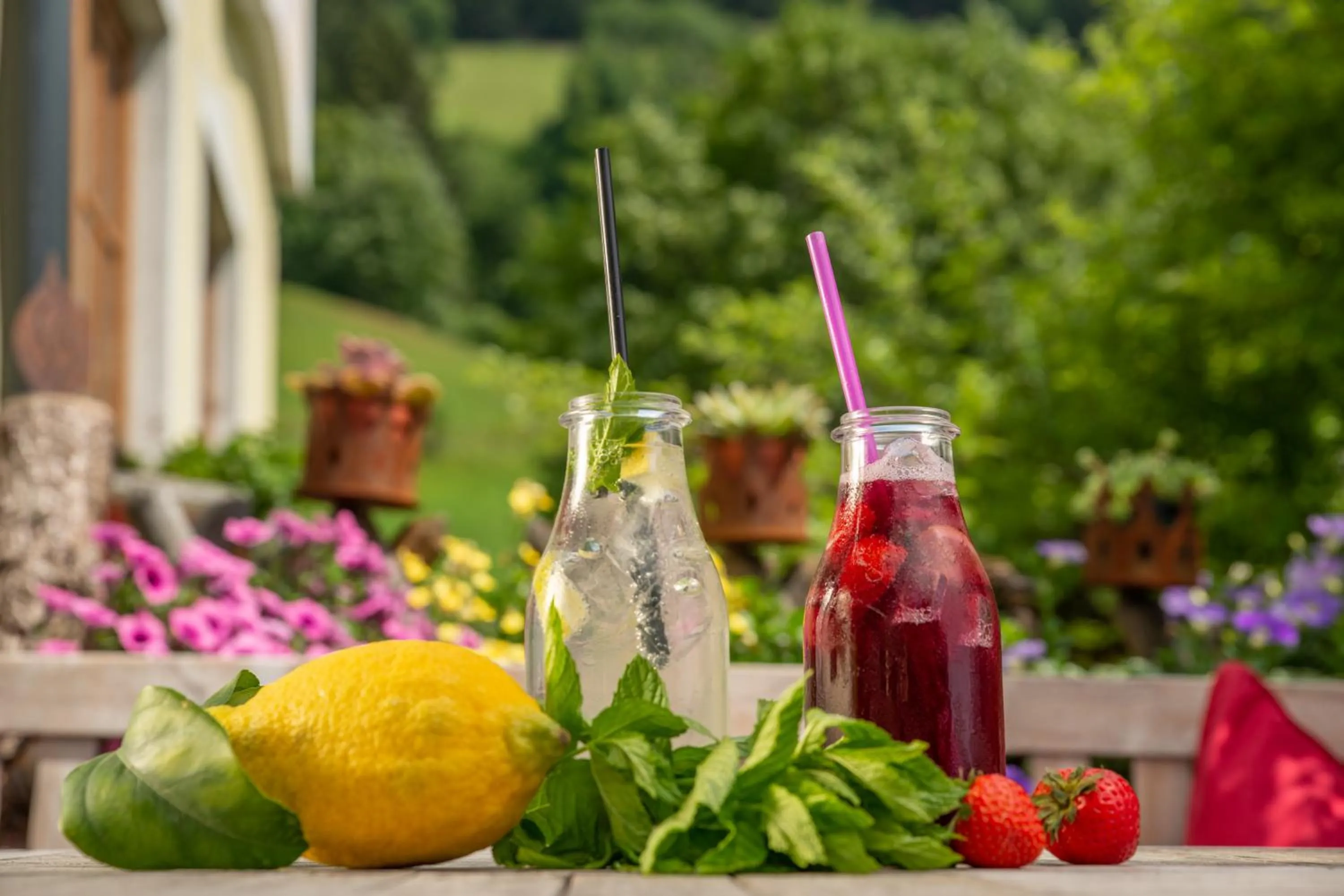 Restaurant/places to eat in Boutique Hotel Martha