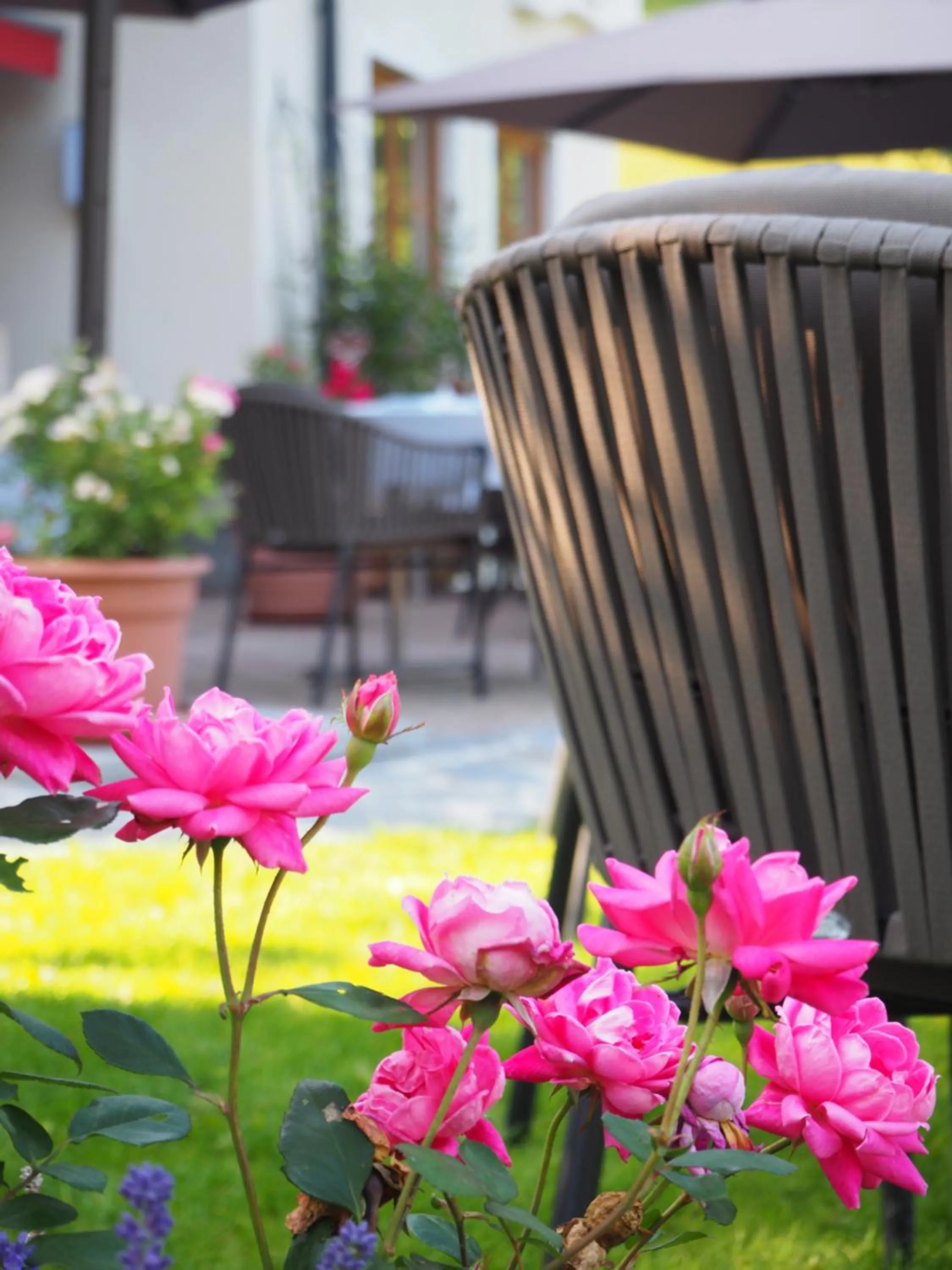 Restaurant/places to eat in Boutique Hotel Martha