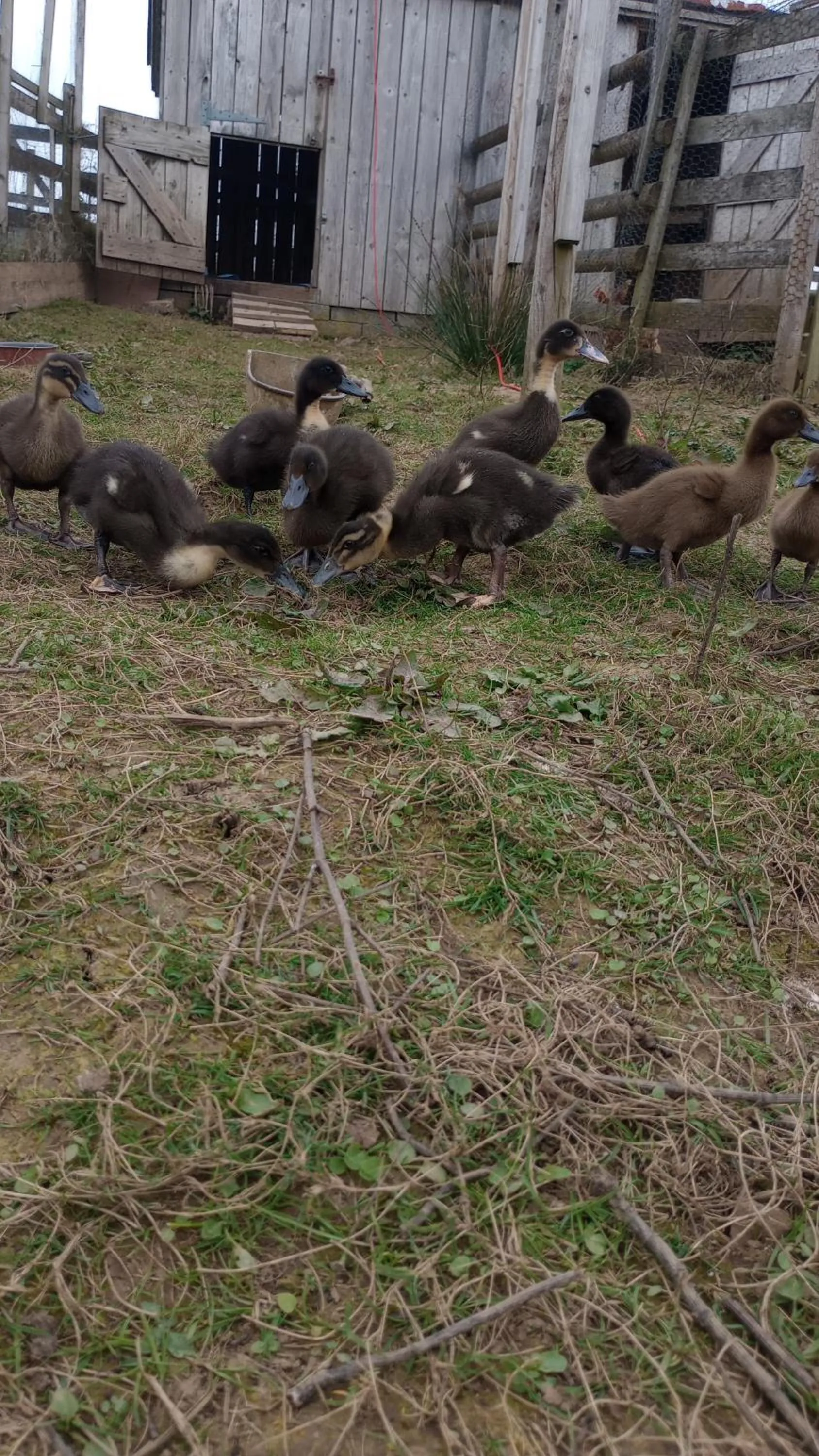 Sharlands Farm Bed and Breakfast