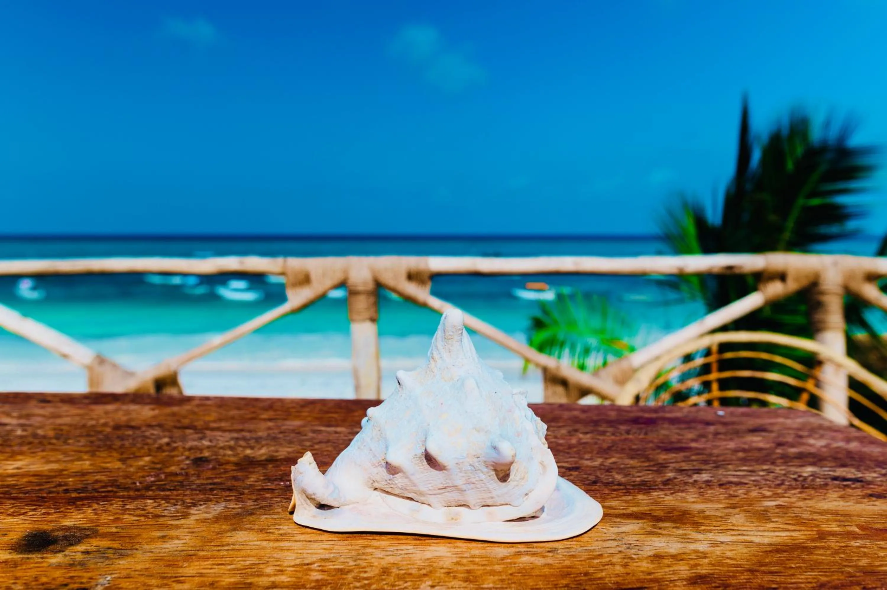 Restaurant/places to eat in Mambo Paradise