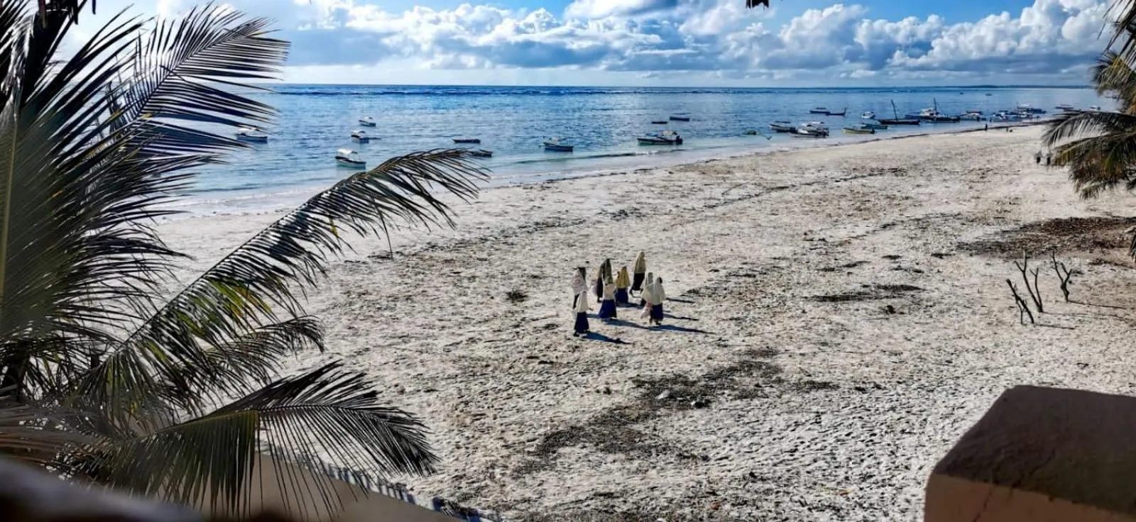 Restaurant/places to eat in Mambo Paradise