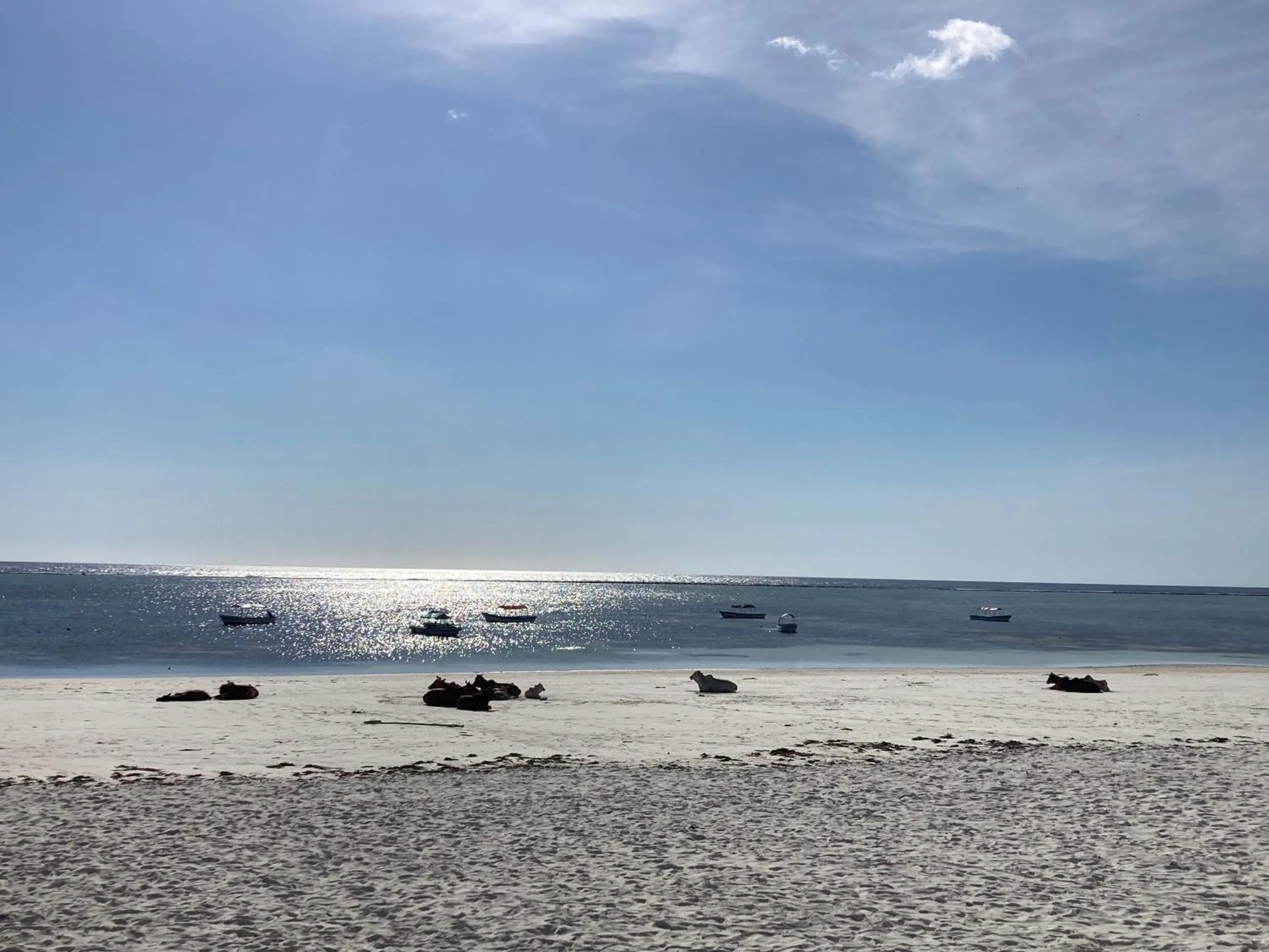 Nearby landmark in Mambo Paradise