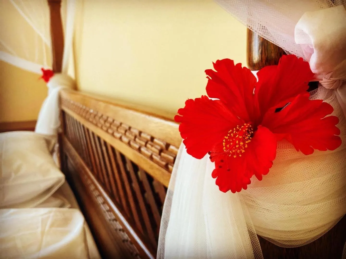 Bed in Mambo Paradise