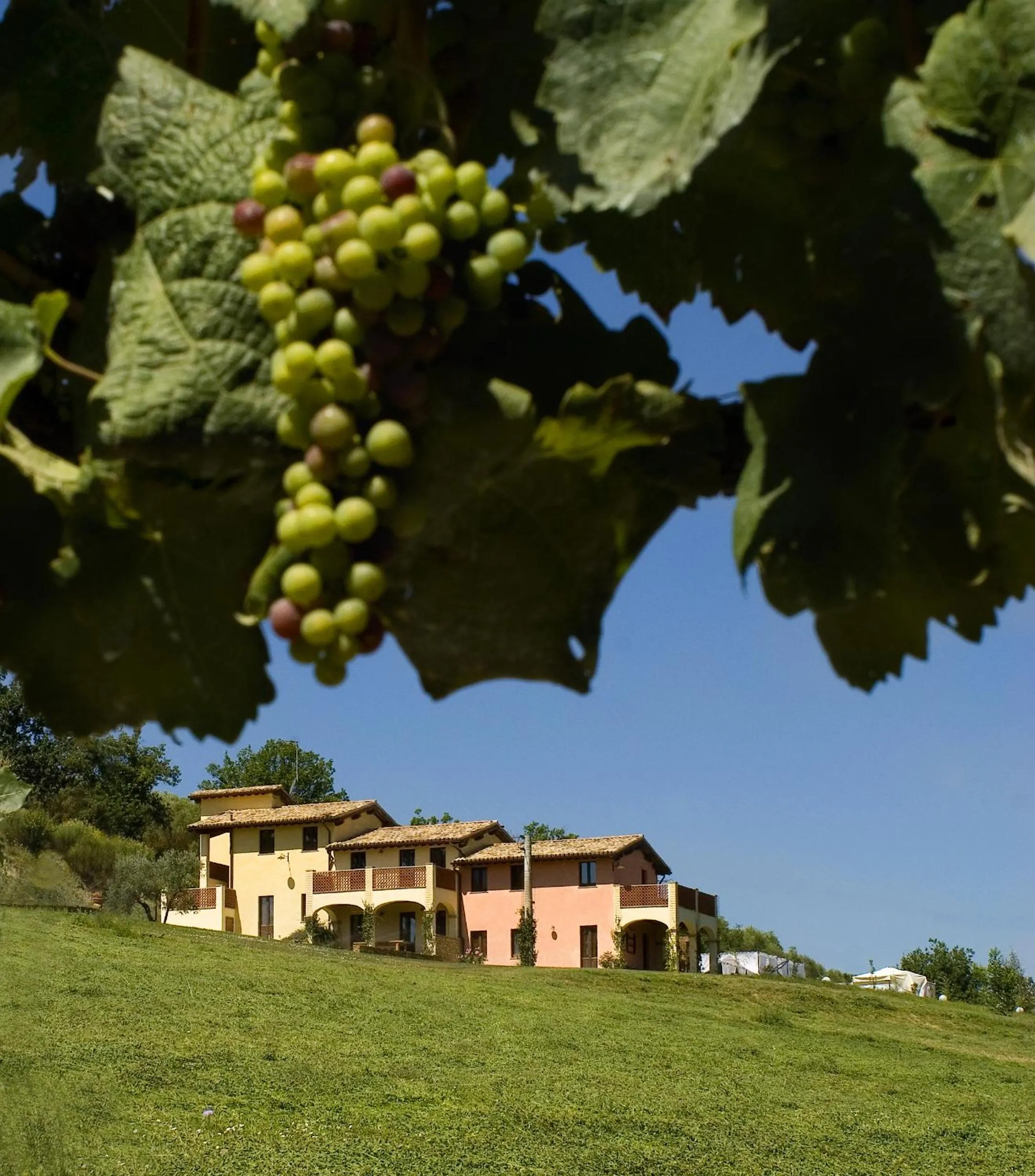 Other in Borgo Le Capannelle