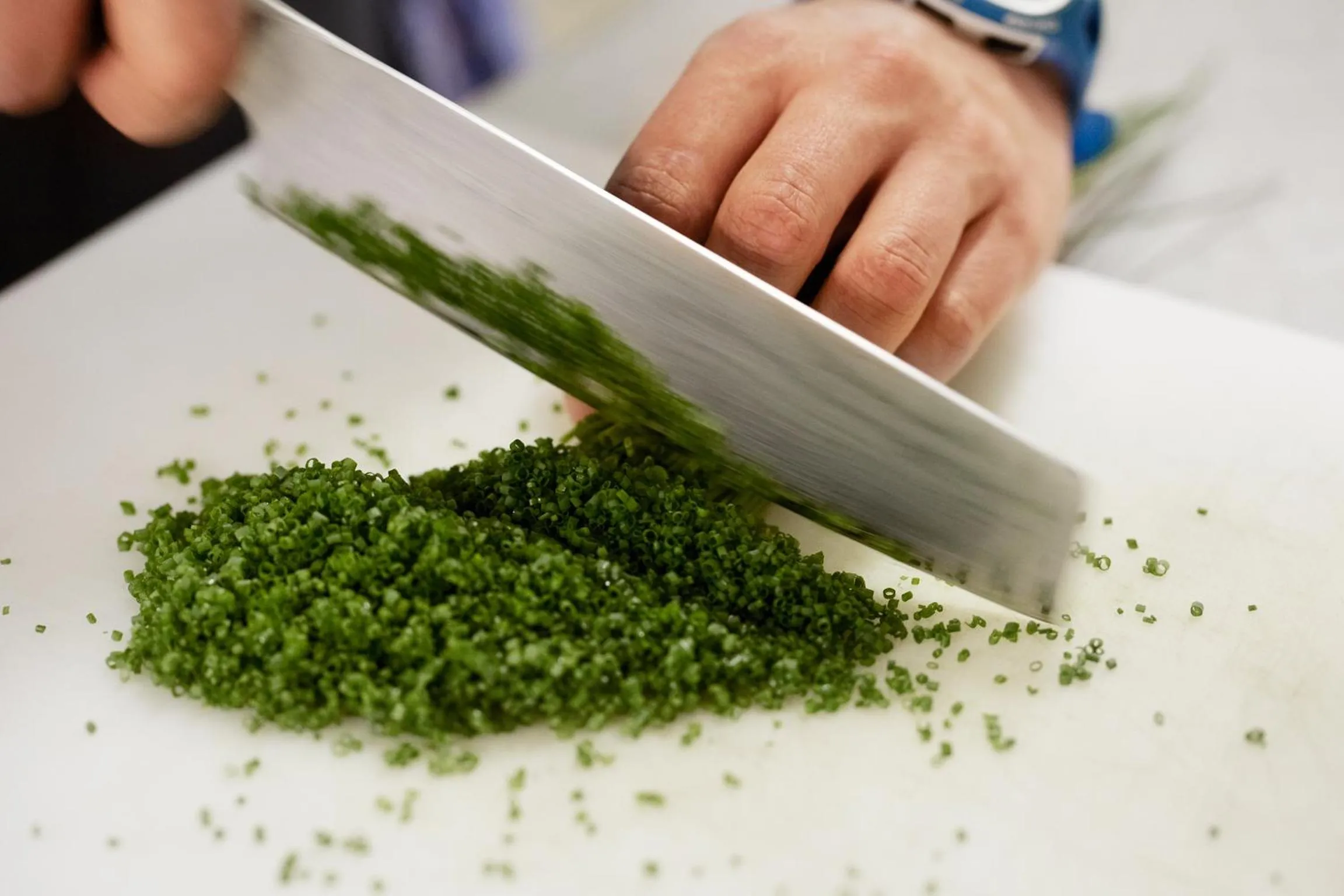 Kitchen or kitchenette in Ski Lodge Engelberg