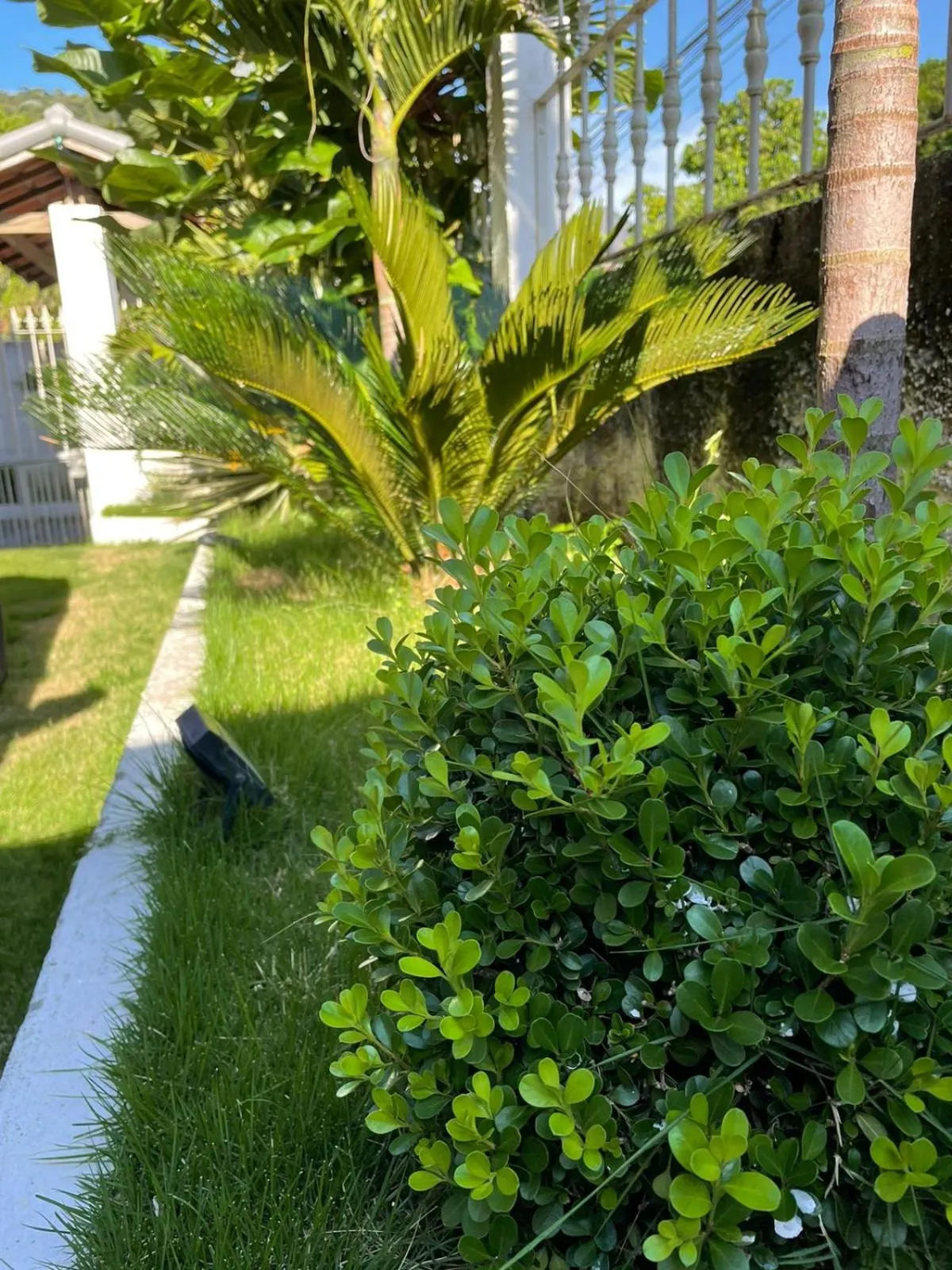 Pousada Videira de Teresópolis