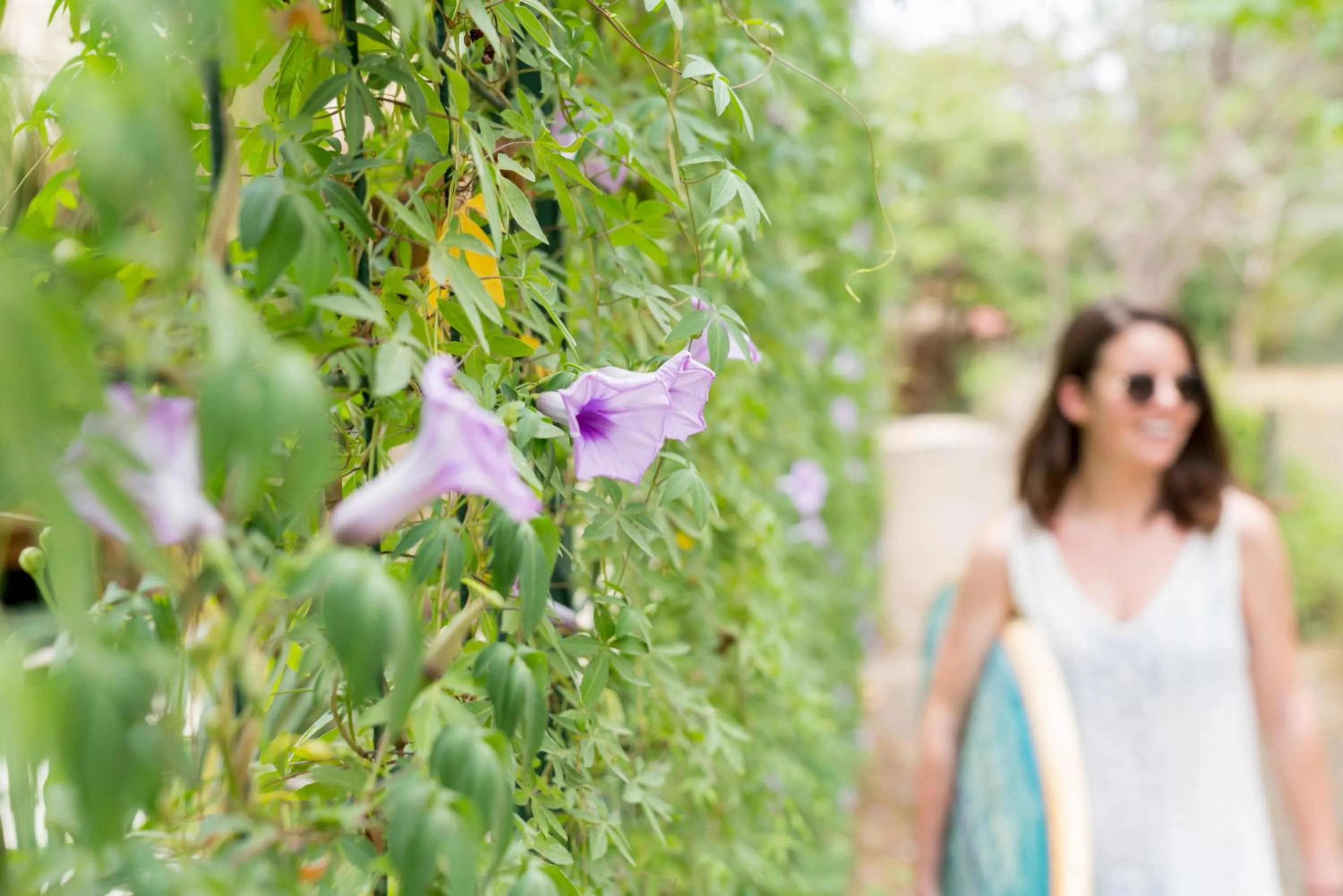 Garden in Iluminar Beachfront Suites