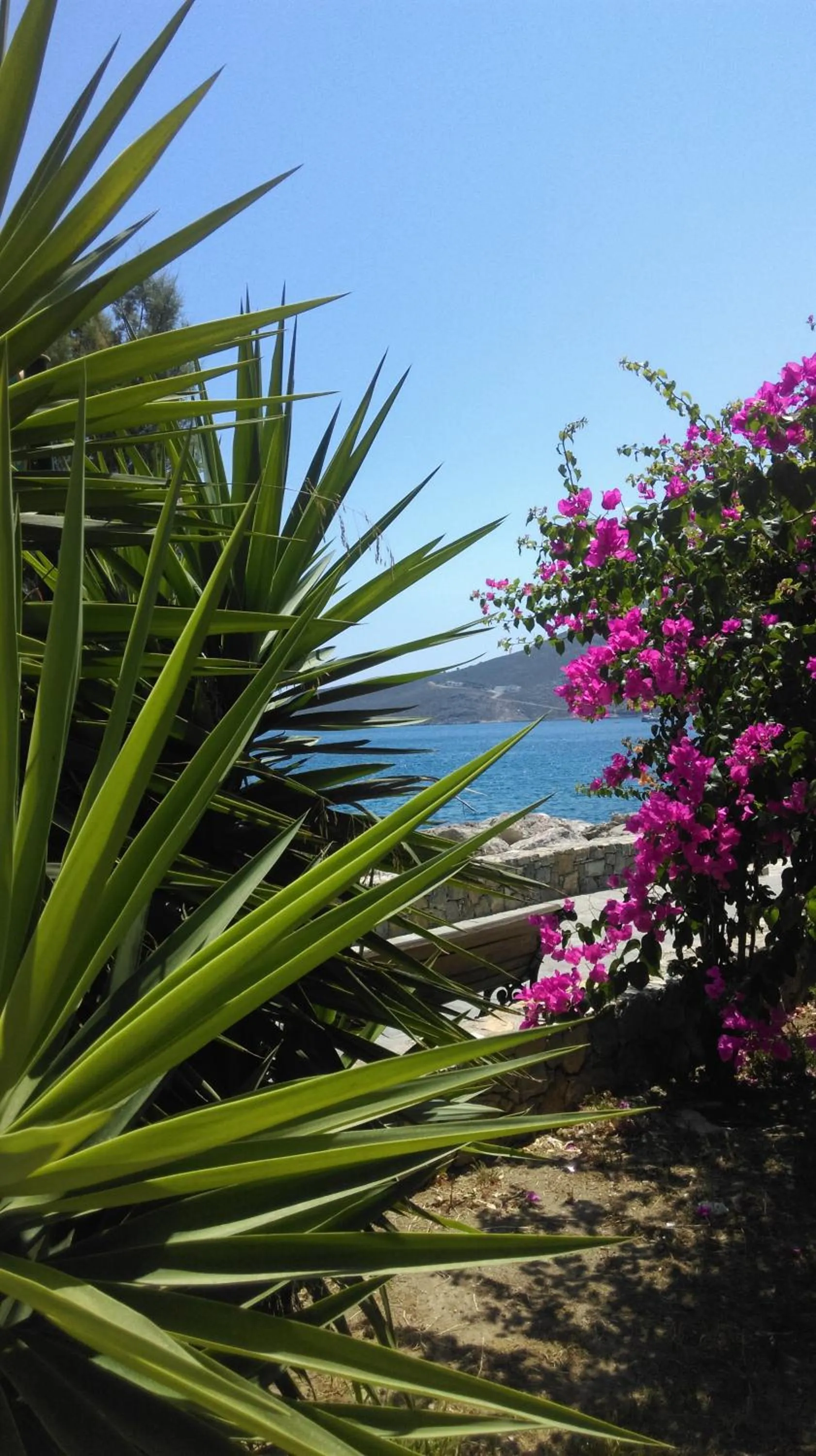 Beach in Boutique Hotel Tilos Mare