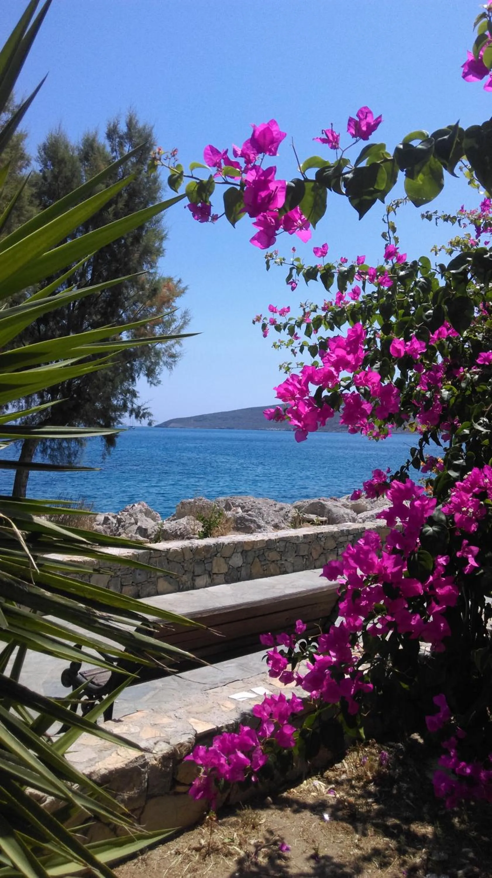 Nearby landmark in Boutique Hotel Tilos Mare