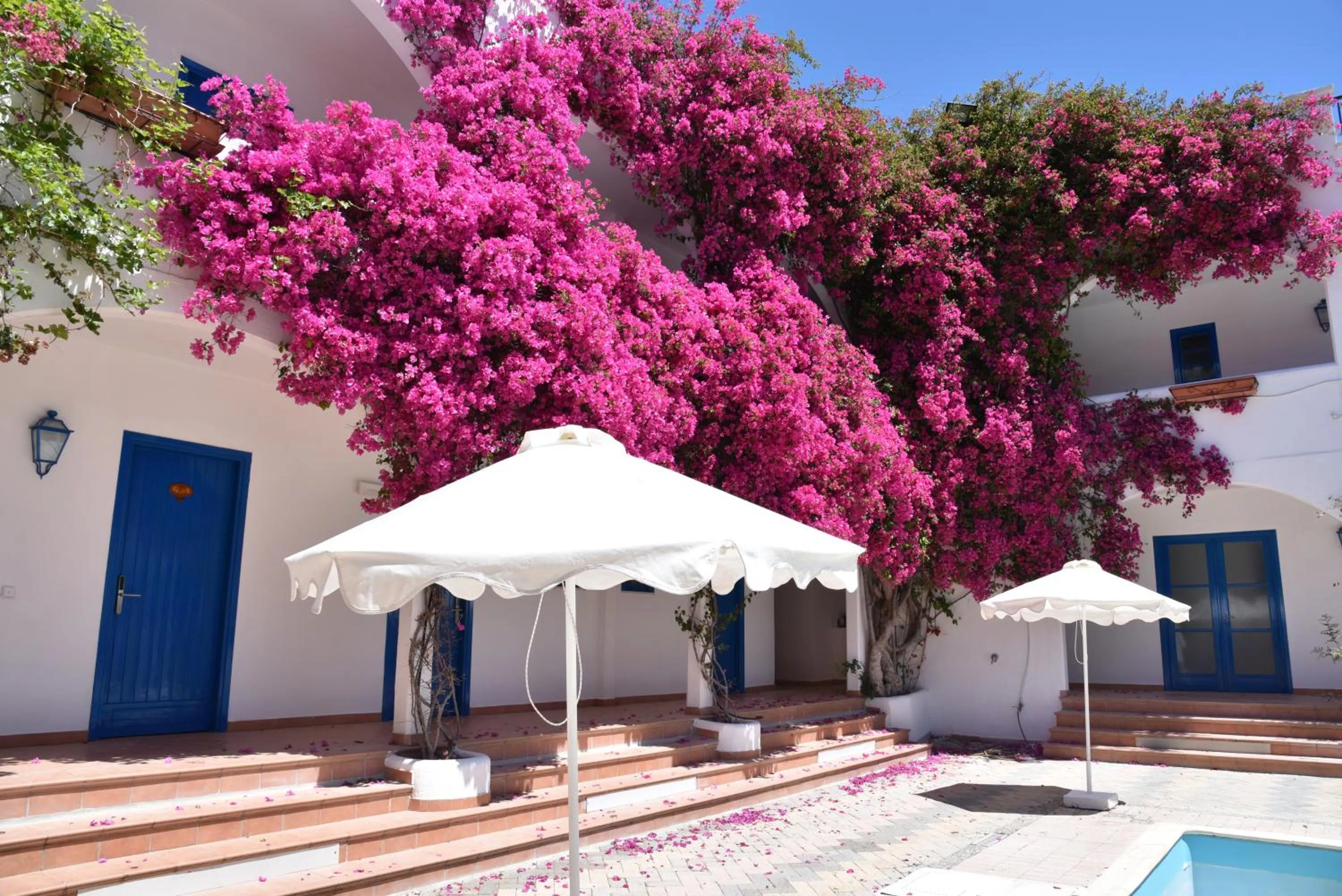 Patio in Boutique Hotel Tilos Mare