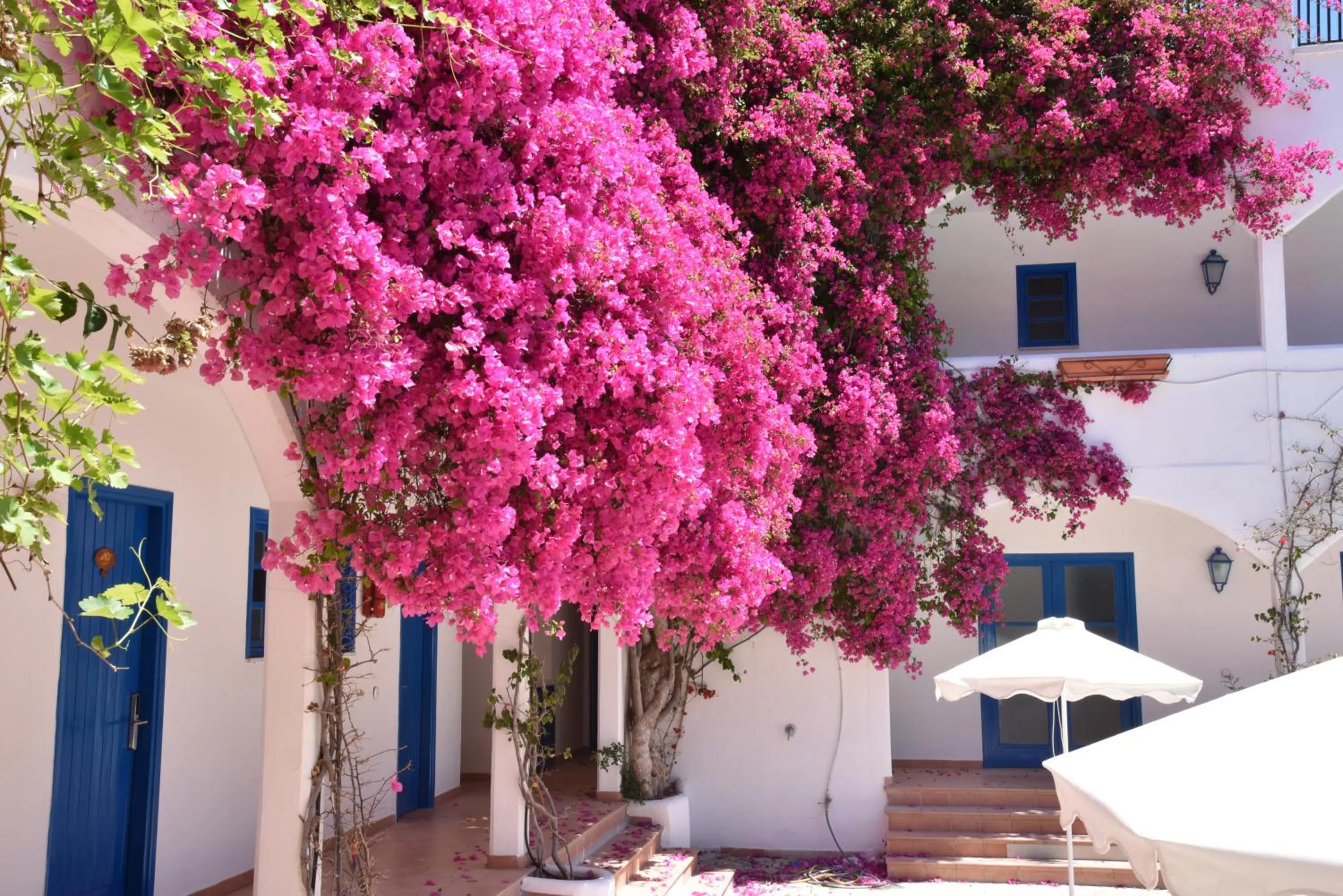 Patio in Boutique Hotel Tilos Mare