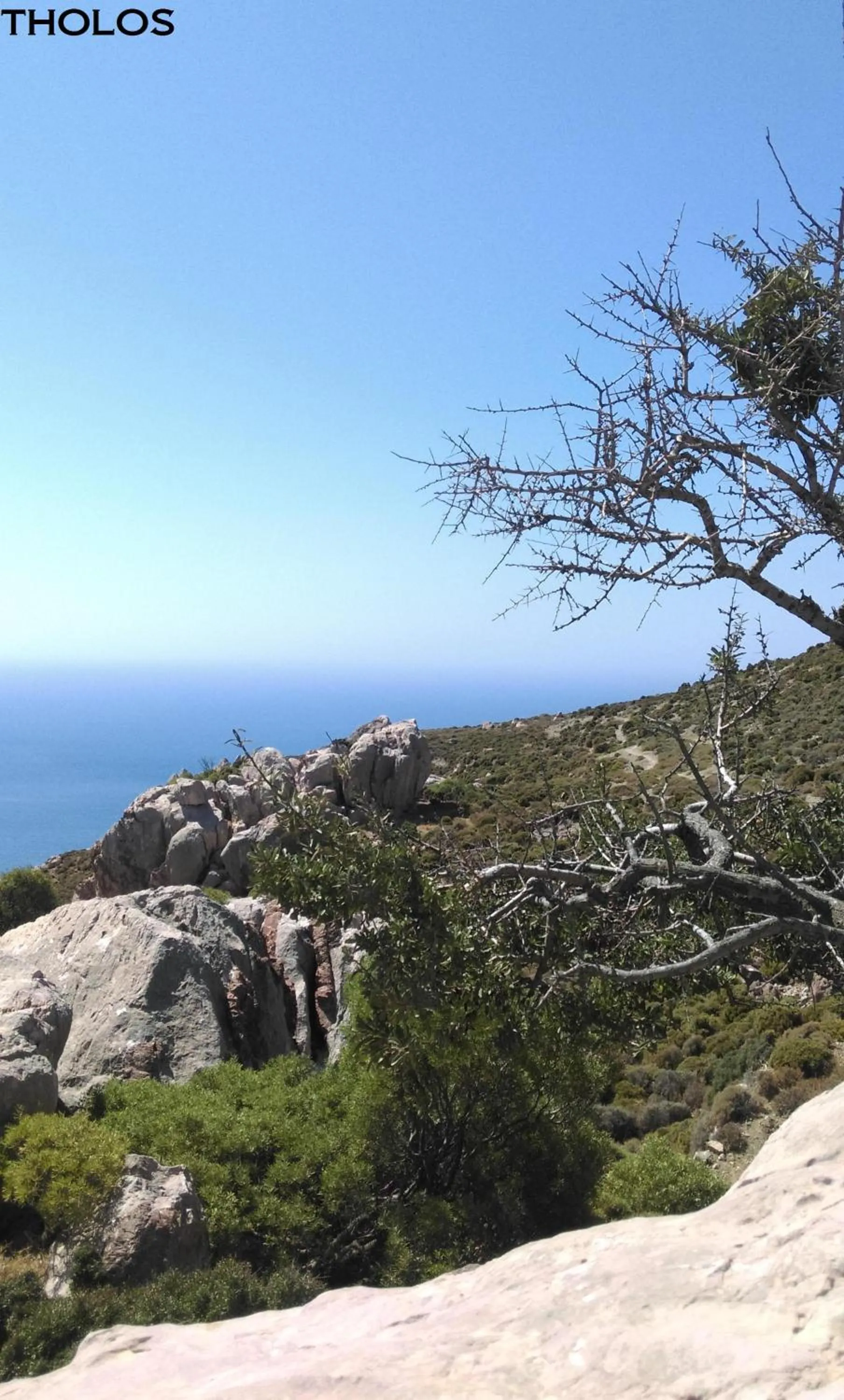 Beach in Boutique Hotel Tilos Mare