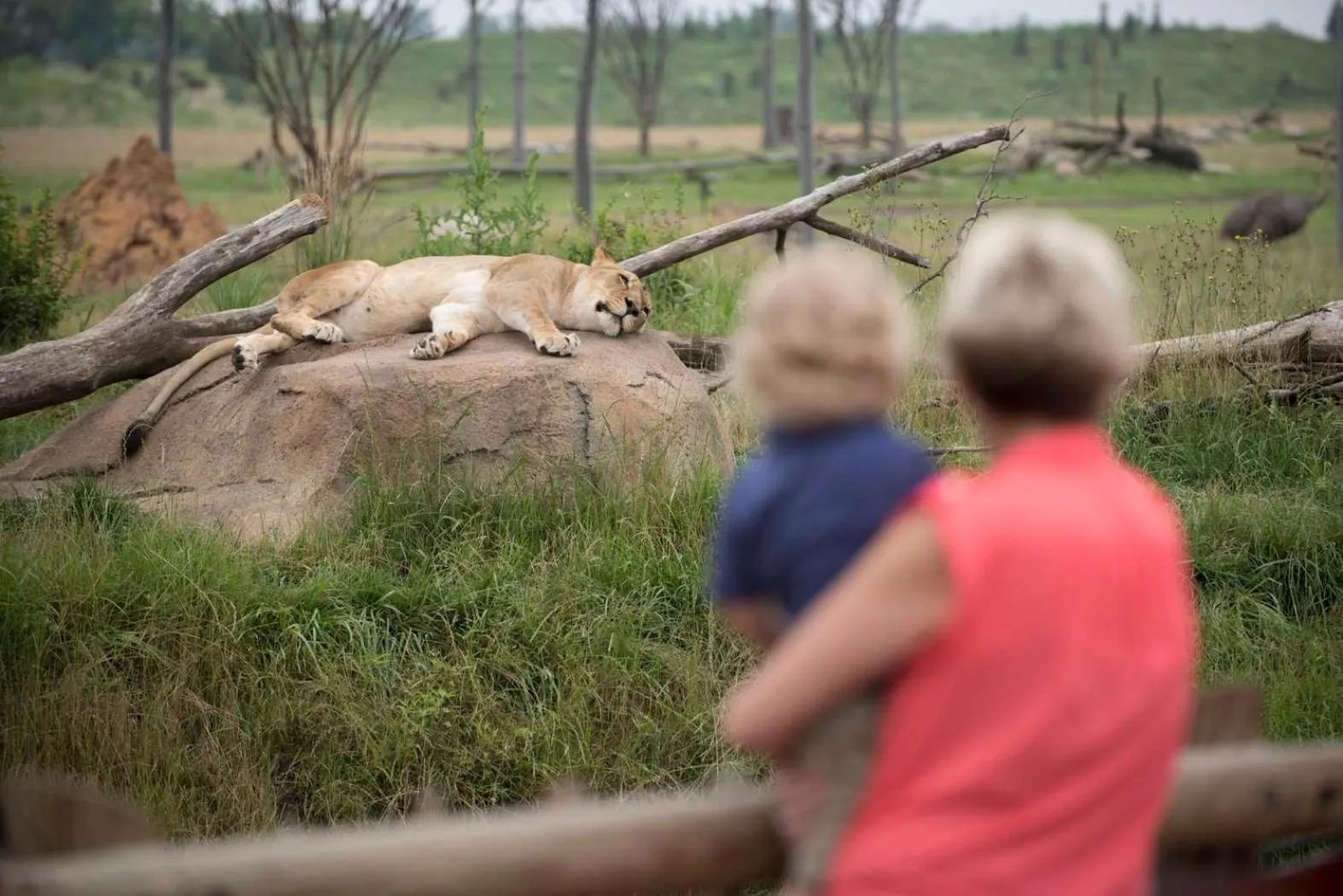 Activities in Hyatt Place Columbus Polaris