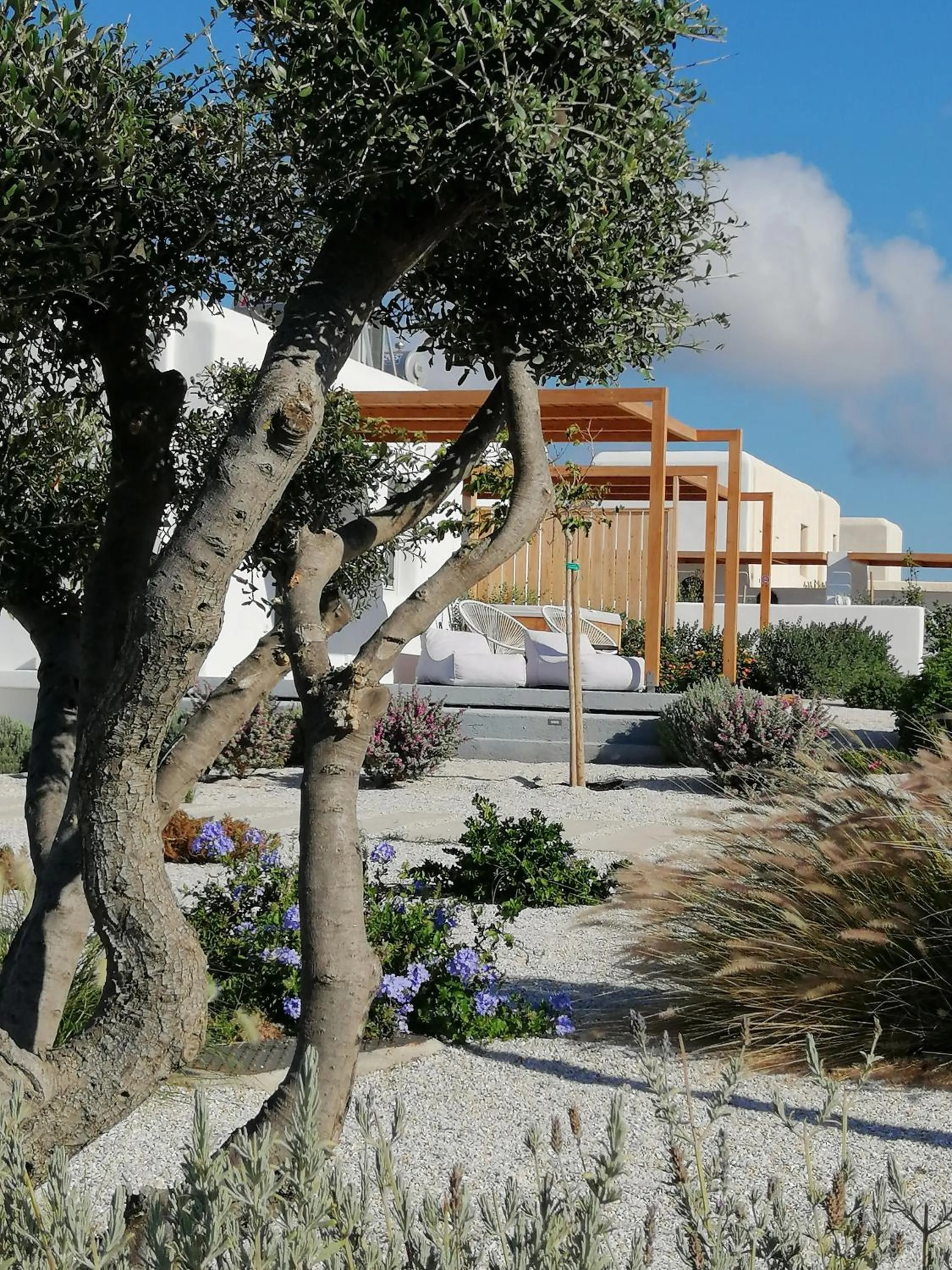 Property building in Xerolithos Natural Living