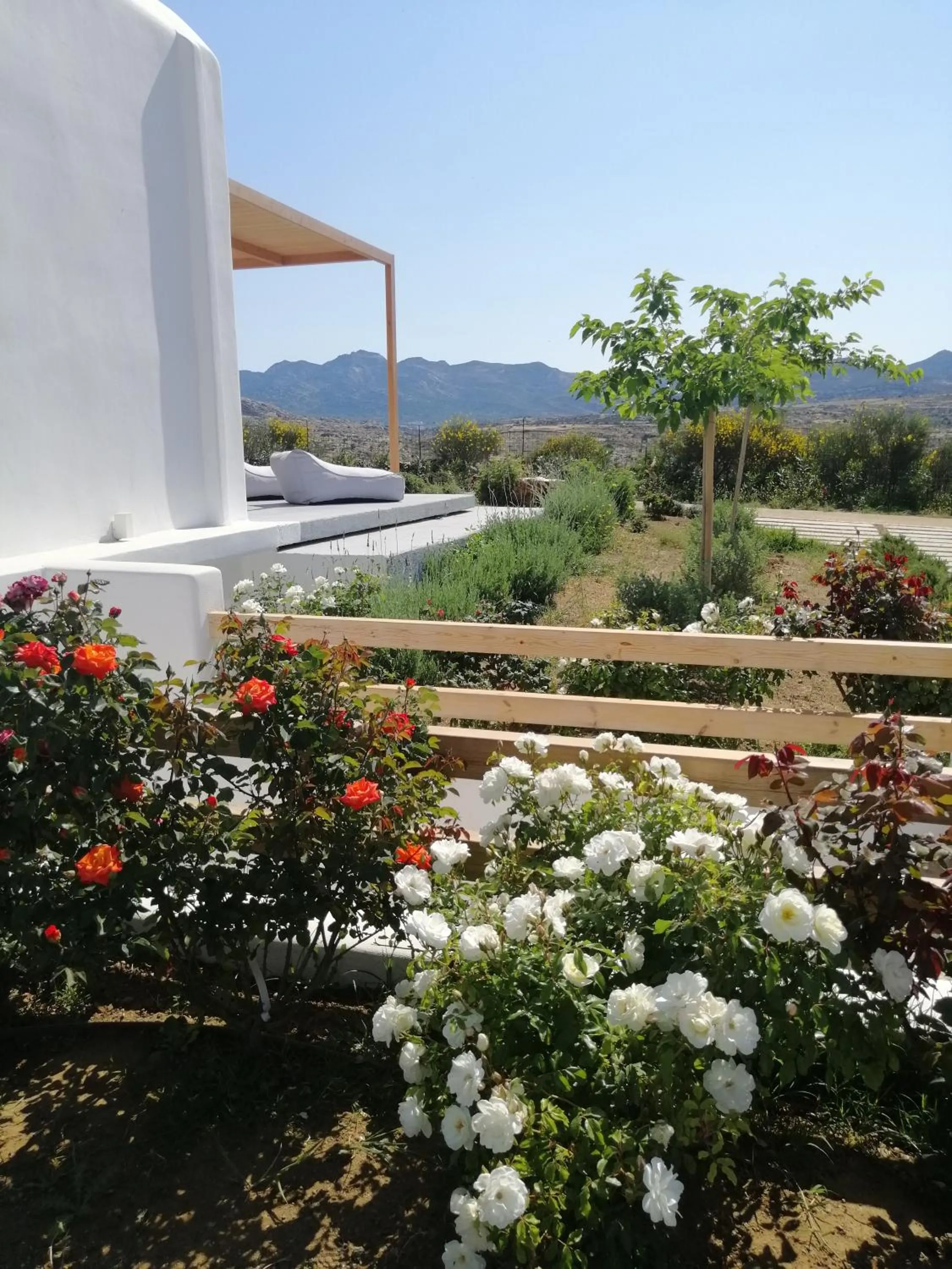 Day in Xerolithos Natural Living