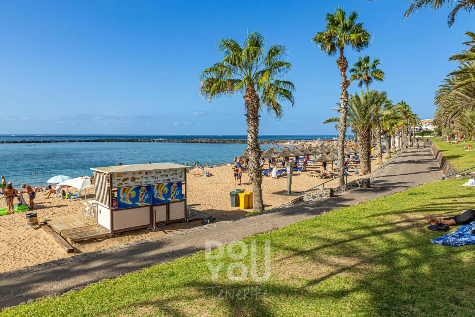 Area and facilities in Apartment Paraiso Royal