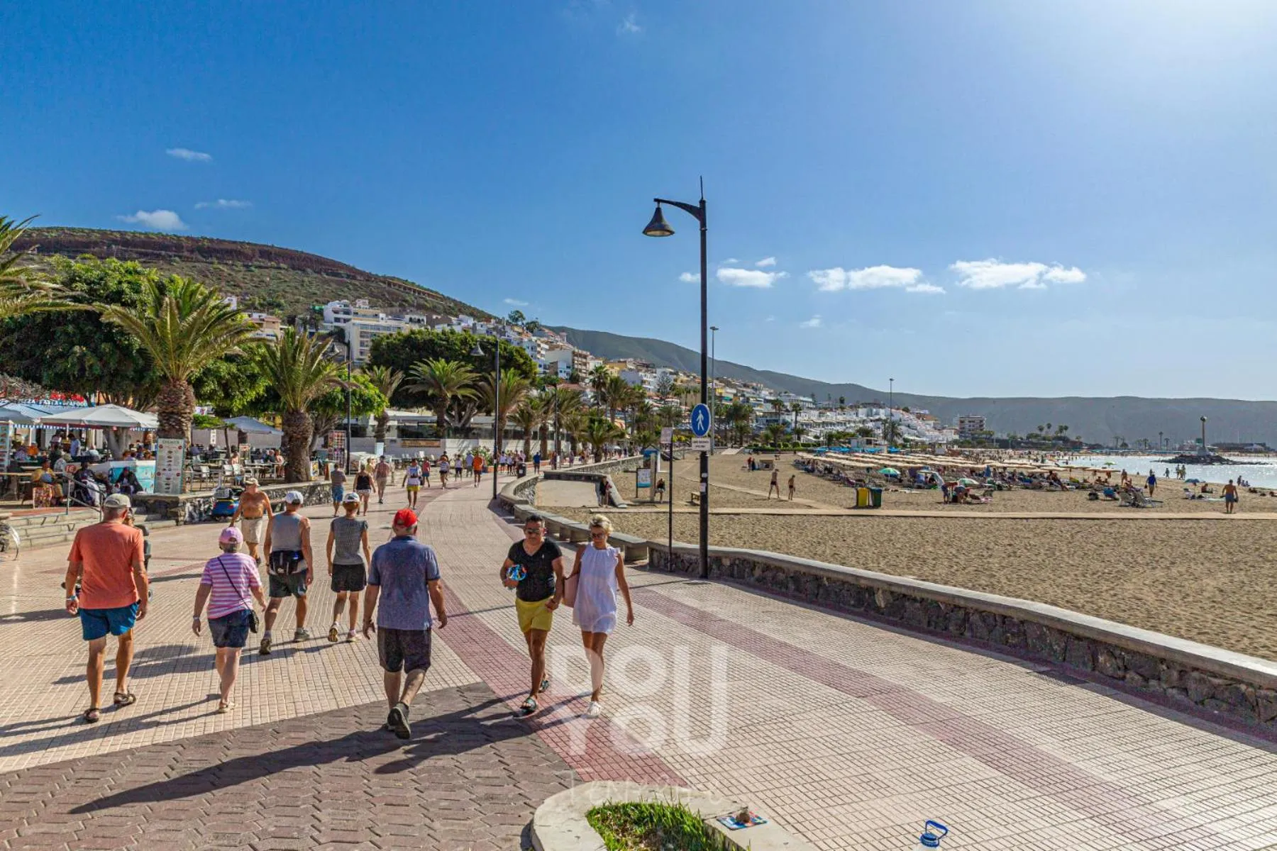 Area and facilities in Apartment Paraiso Royal