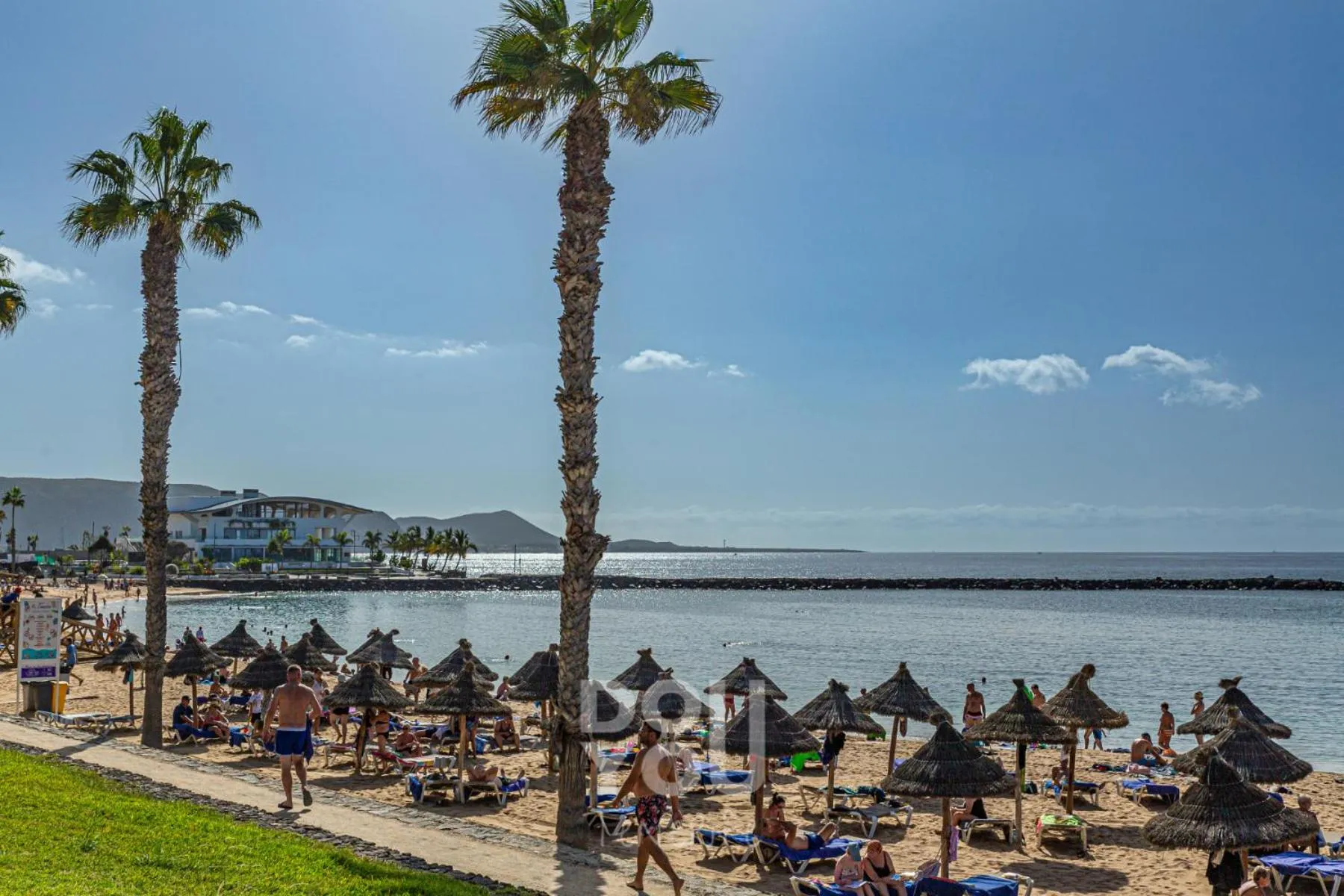 Area and facilities in Apartment Paraiso Royal