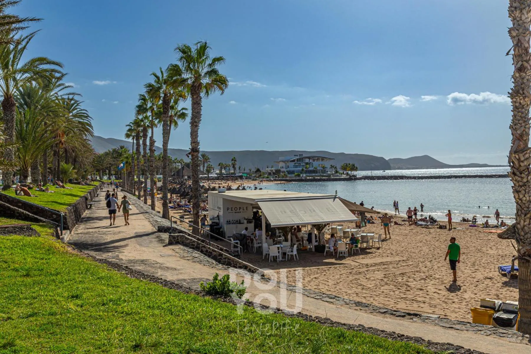 Area and facilities in Apartment Paraiso Royal