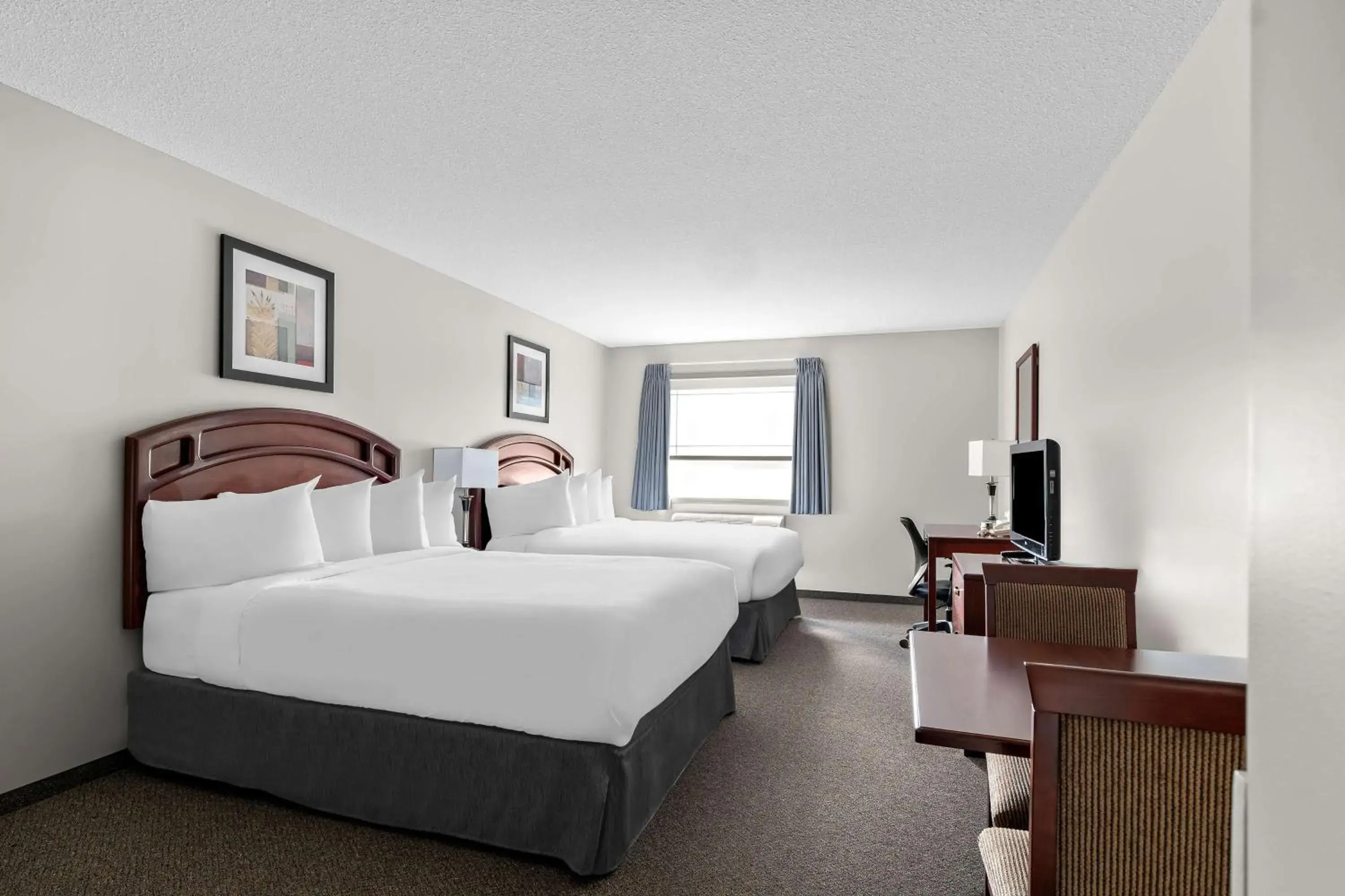 Queen Room with Two Queen Beds in SureStay Plus Hotel by Best Western Hardisty Queen Room with Two Queen Beds in SureStay Plus Hotel by Best Western Hardisty