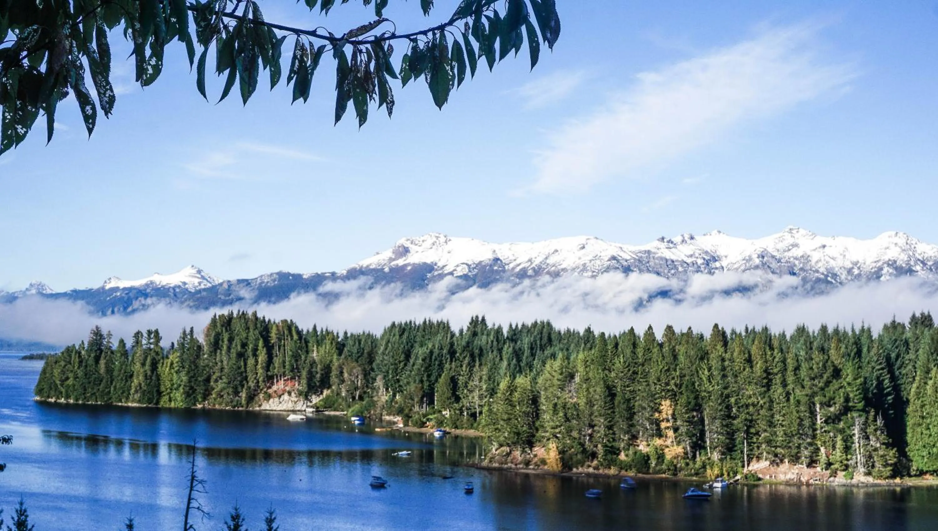 Marinas Alto Manzano