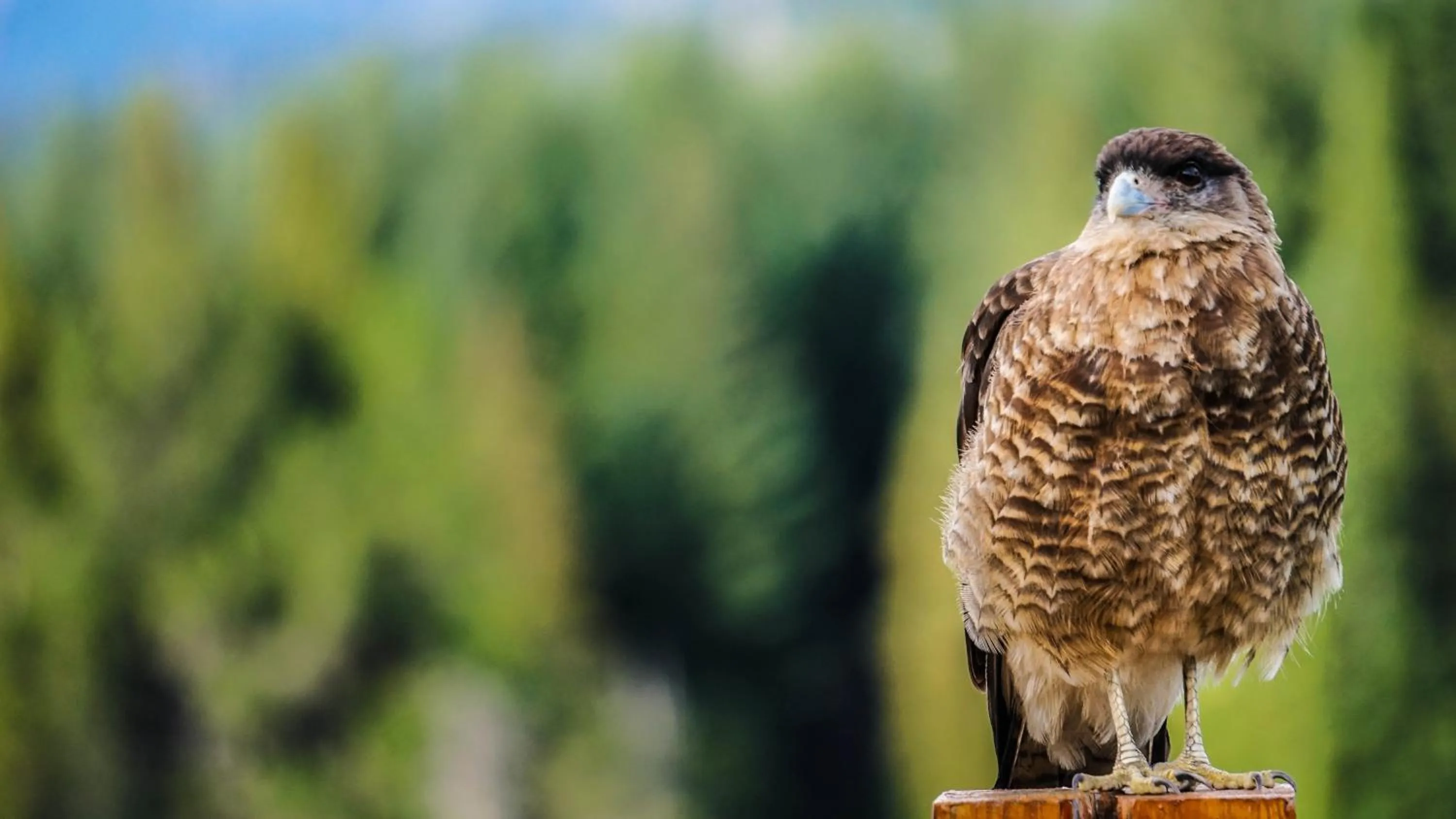 Marinas Alto Manzano