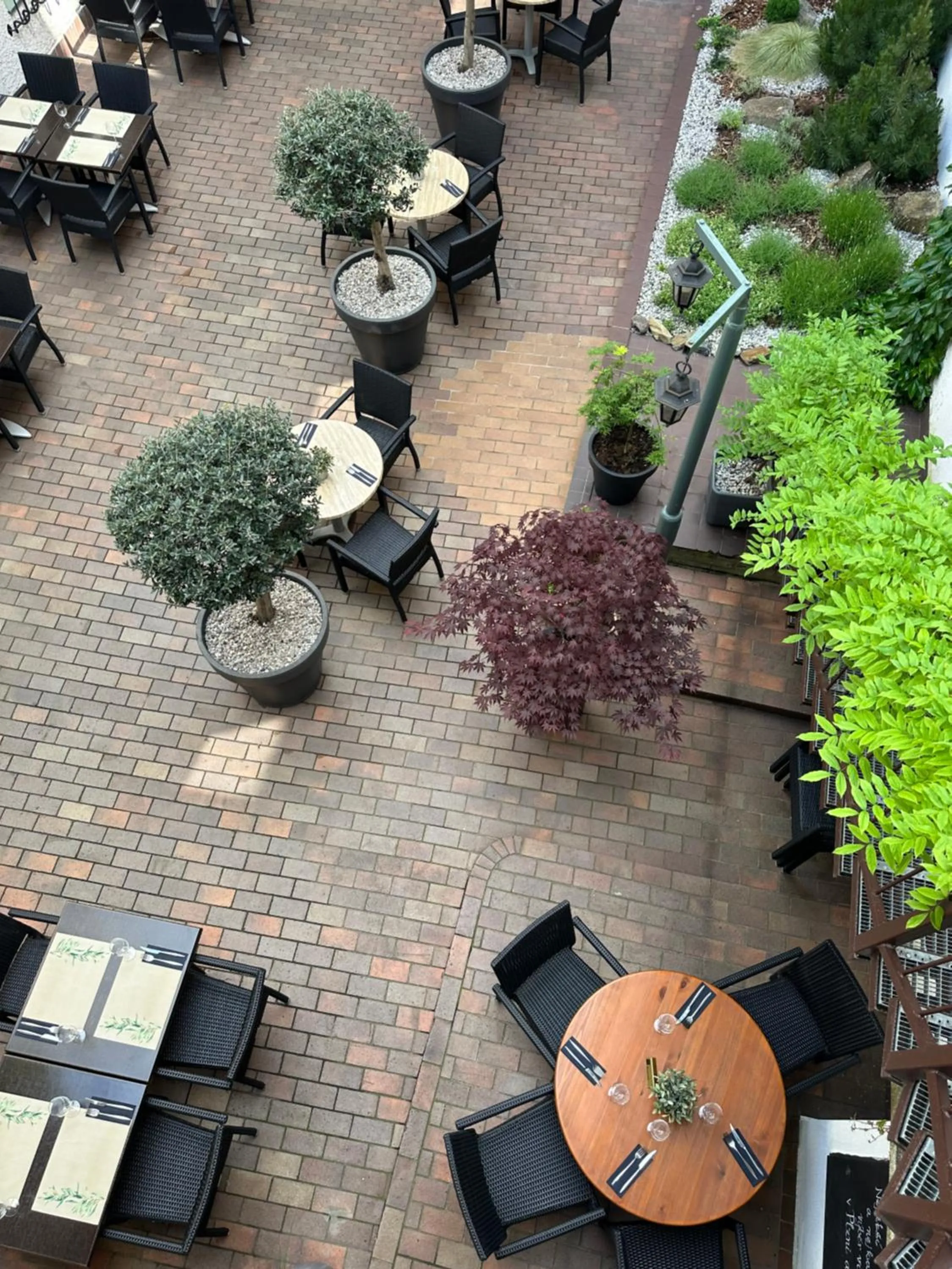 Restaurant/places to eat in Hotel Rango