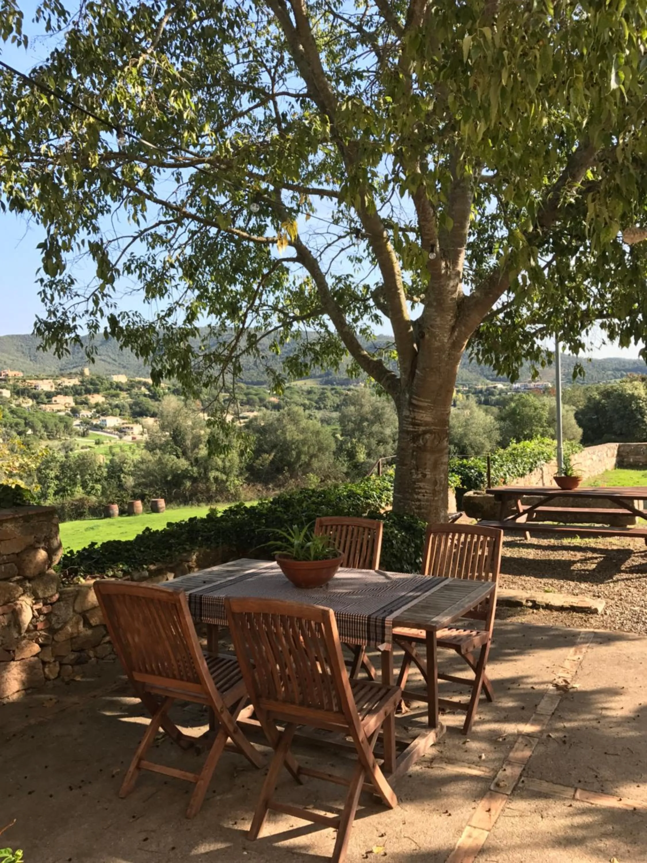 Garden in Can Margarit