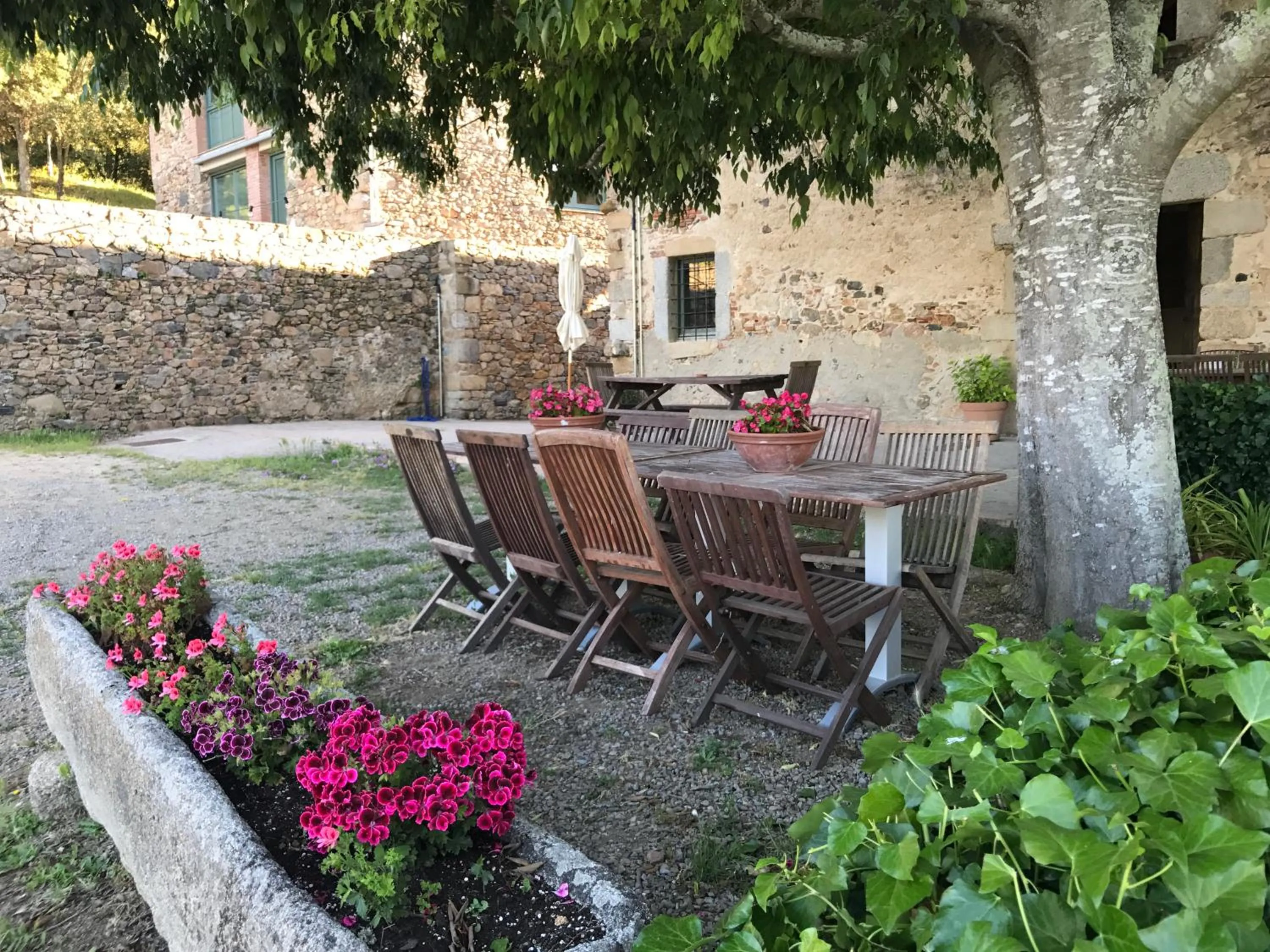 Garden in Can Margarit