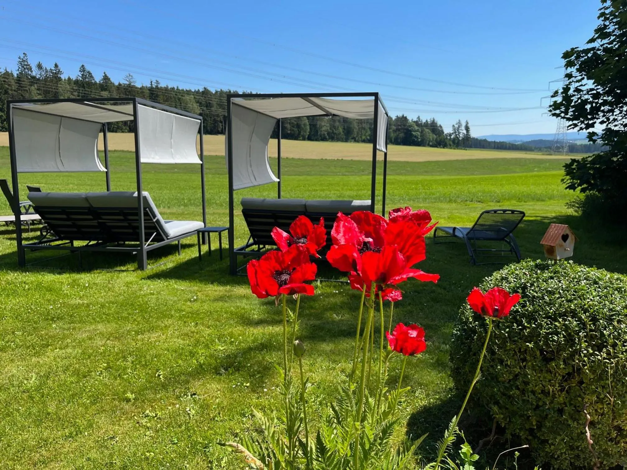 View (from property/room) in Landhotel Lindenhof